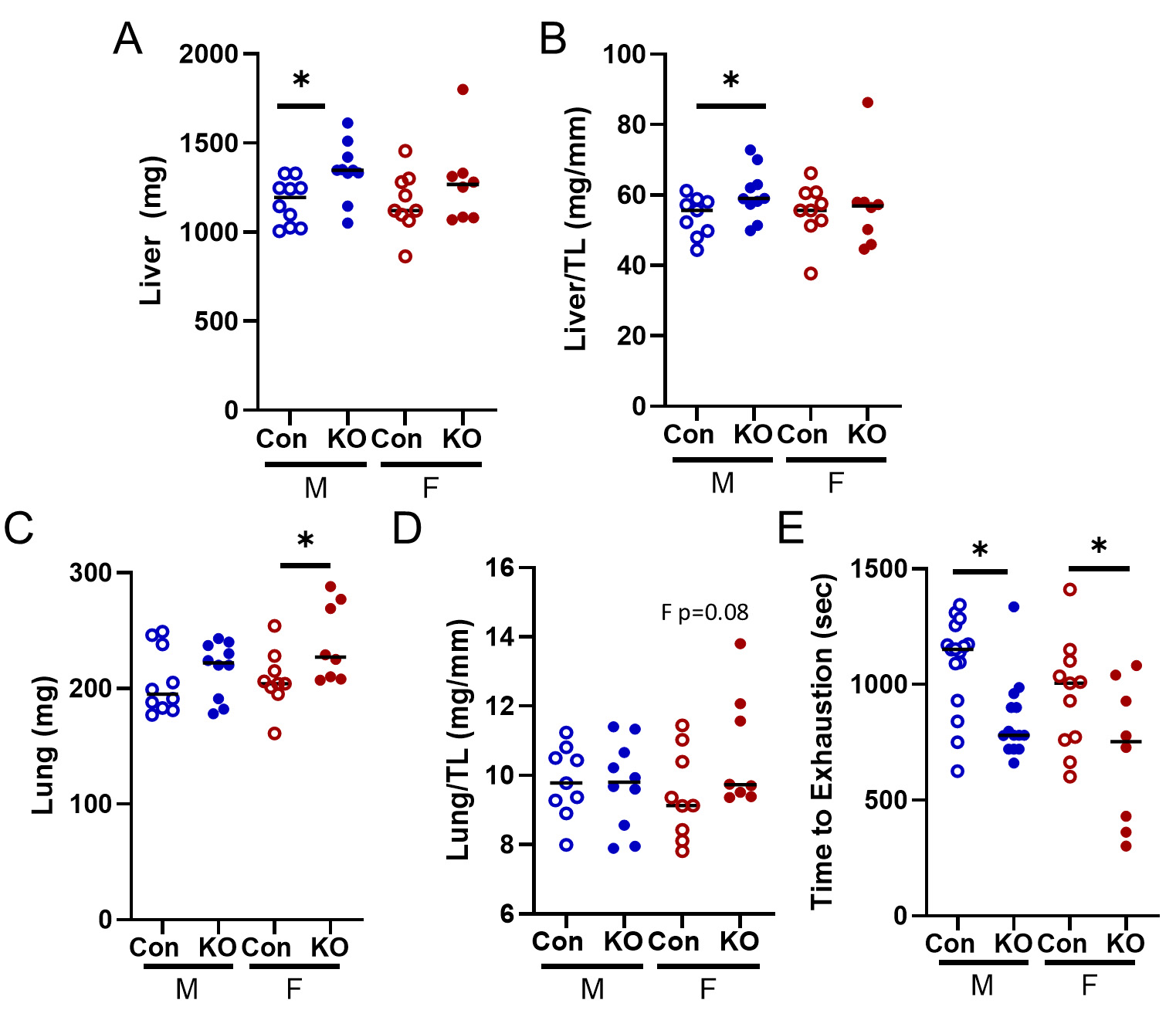 Global deletion of potassium channel Kv1.5 causes biventricular heart failure
