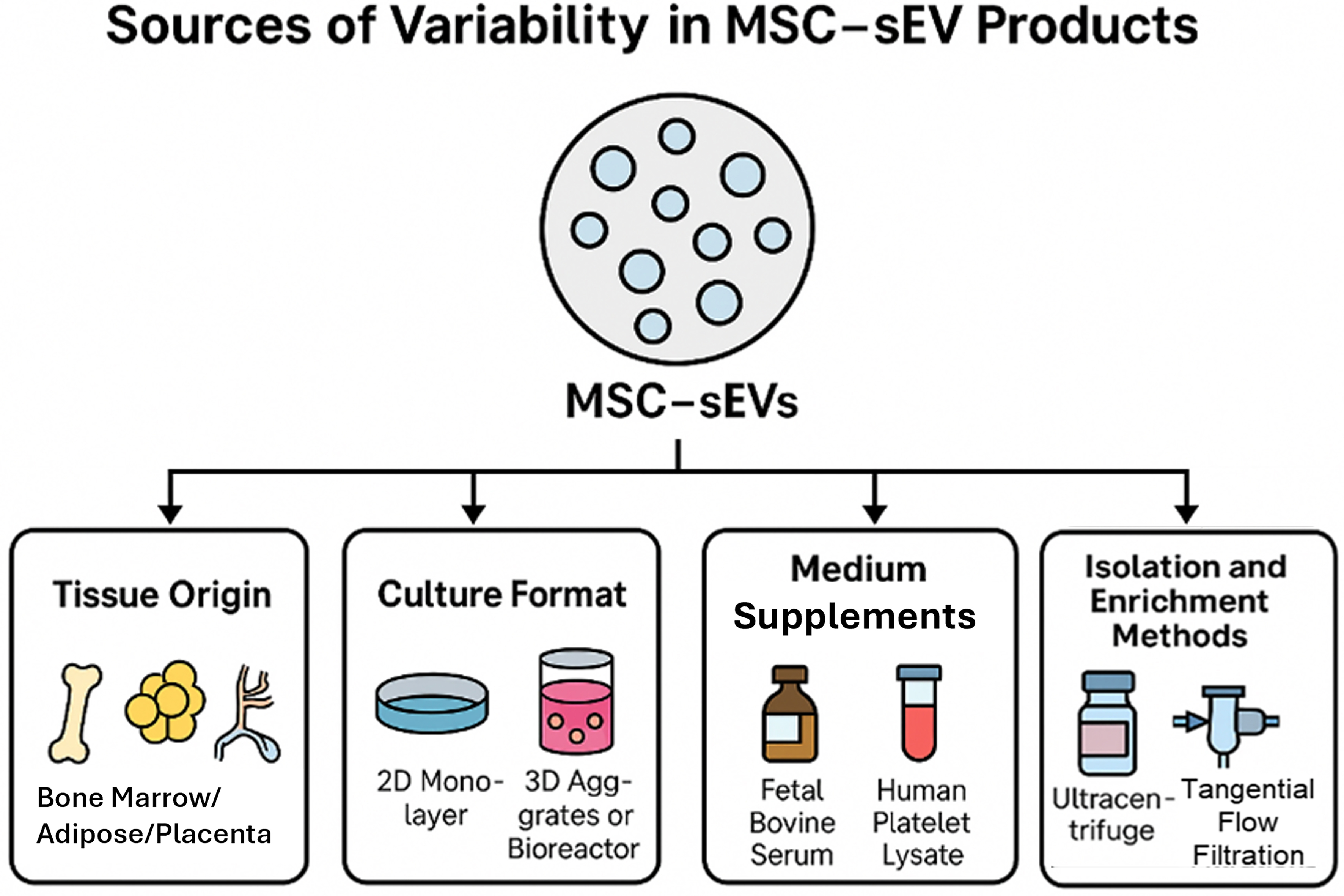 Rethinking miRNAs in MSC-sEV therapeutics: implications for manufacture, mechanism of action, and development of robust potency CQAs