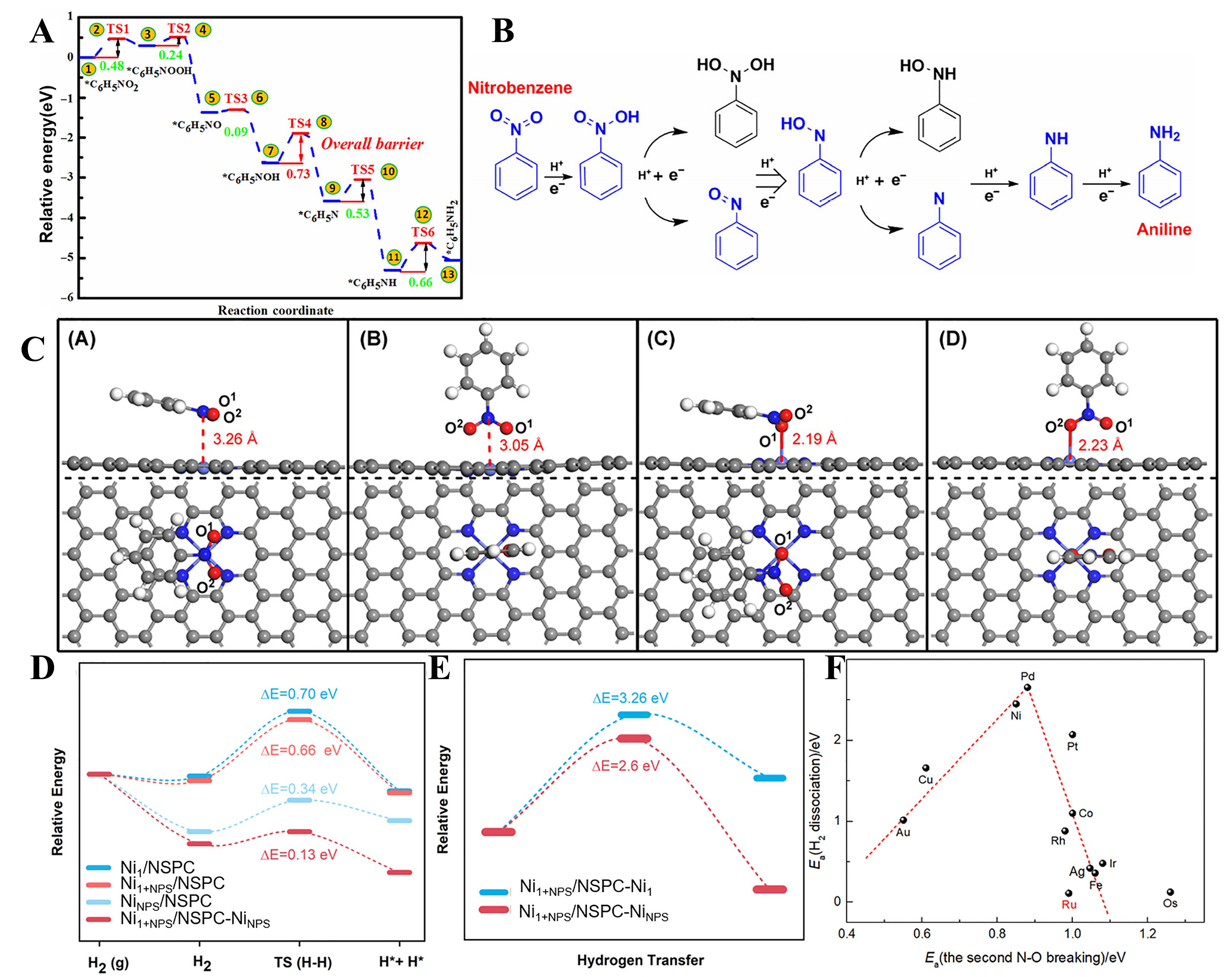 Rational design of single-atom catalysts for efficient hydrogenation of nitro compounds