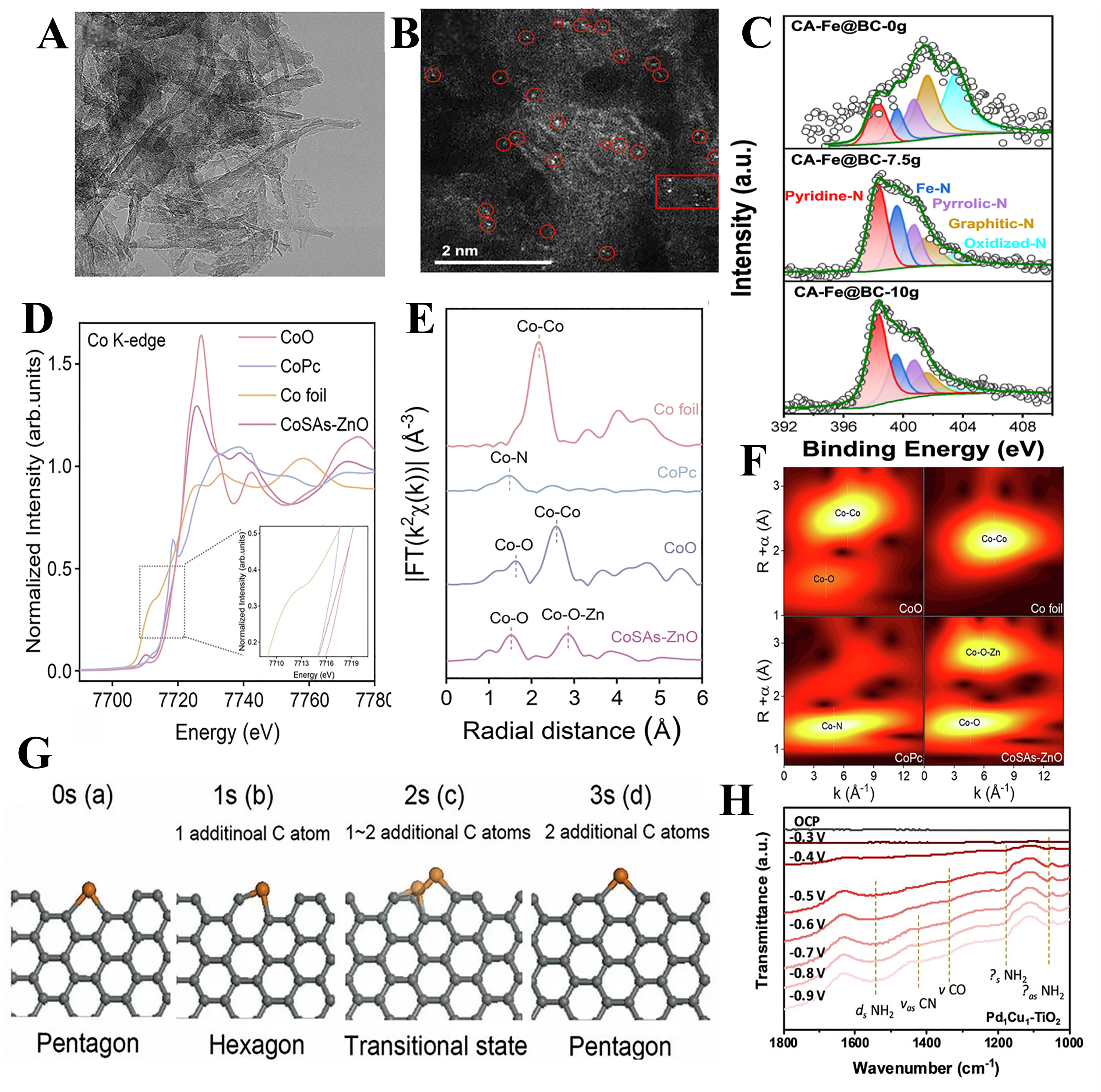 Rational design of single-atom catalysts for efficient hydrogenation of nitro compounds