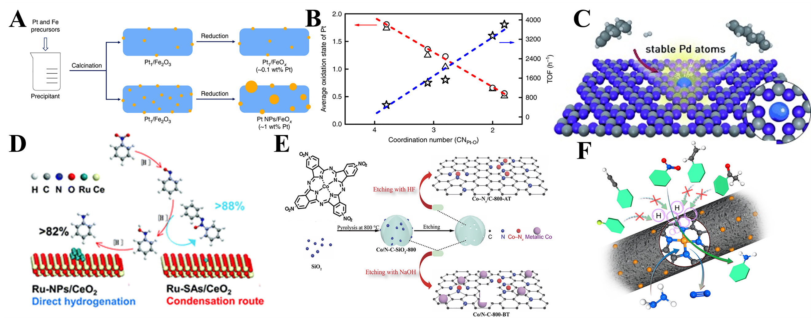 Rational design of single-atom catalysts for efficient hydrogenation of nitro compounds