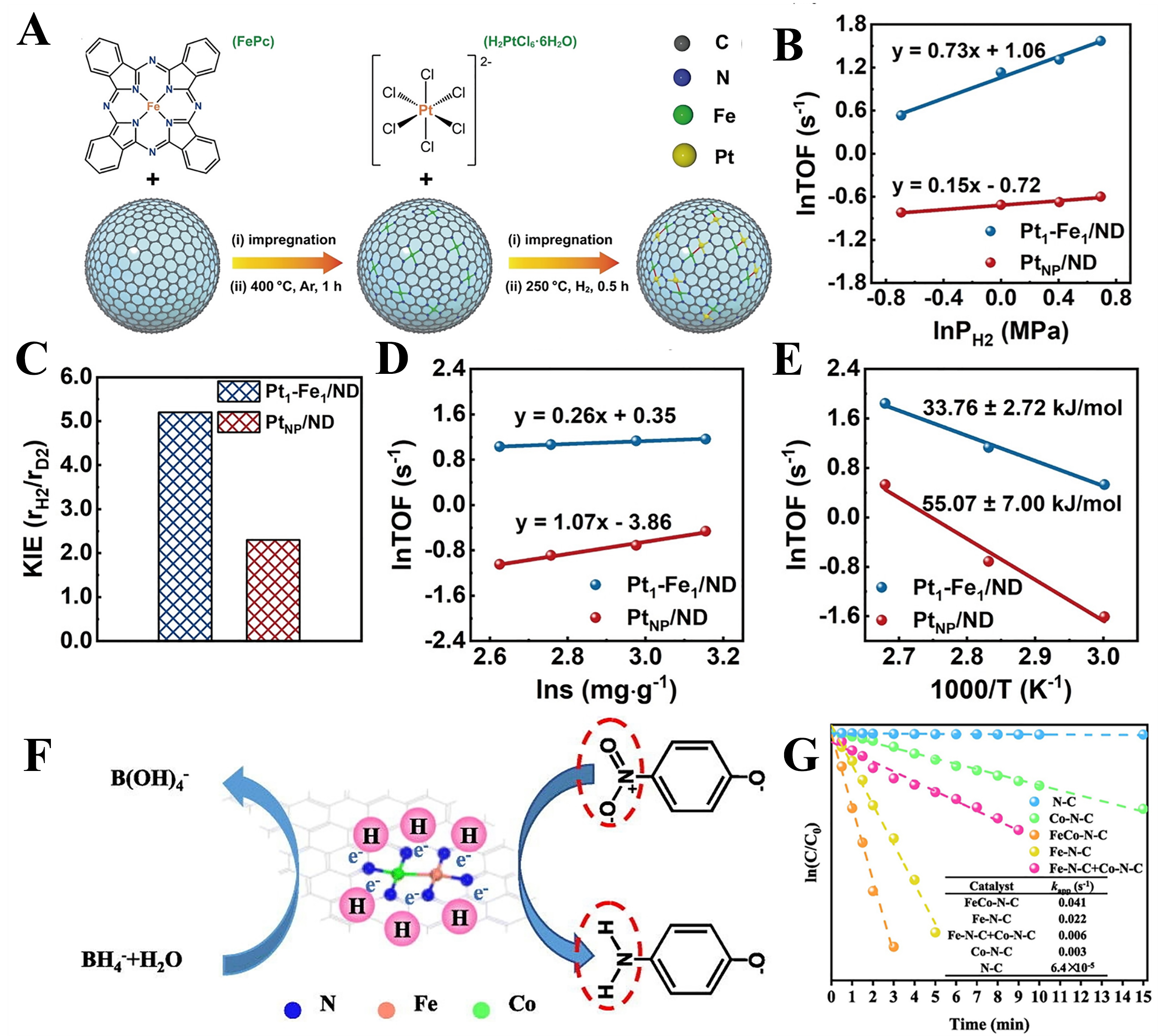 Rational design of single-atom catalysts for efficient hydrogenation of nitro compounds