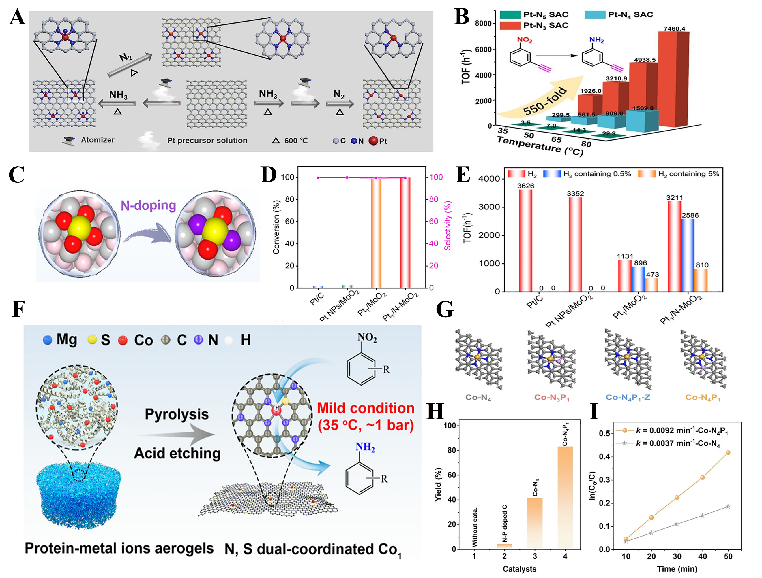 Rational design of single-atom catalysts for efficient hydrogenation of nitro compounds