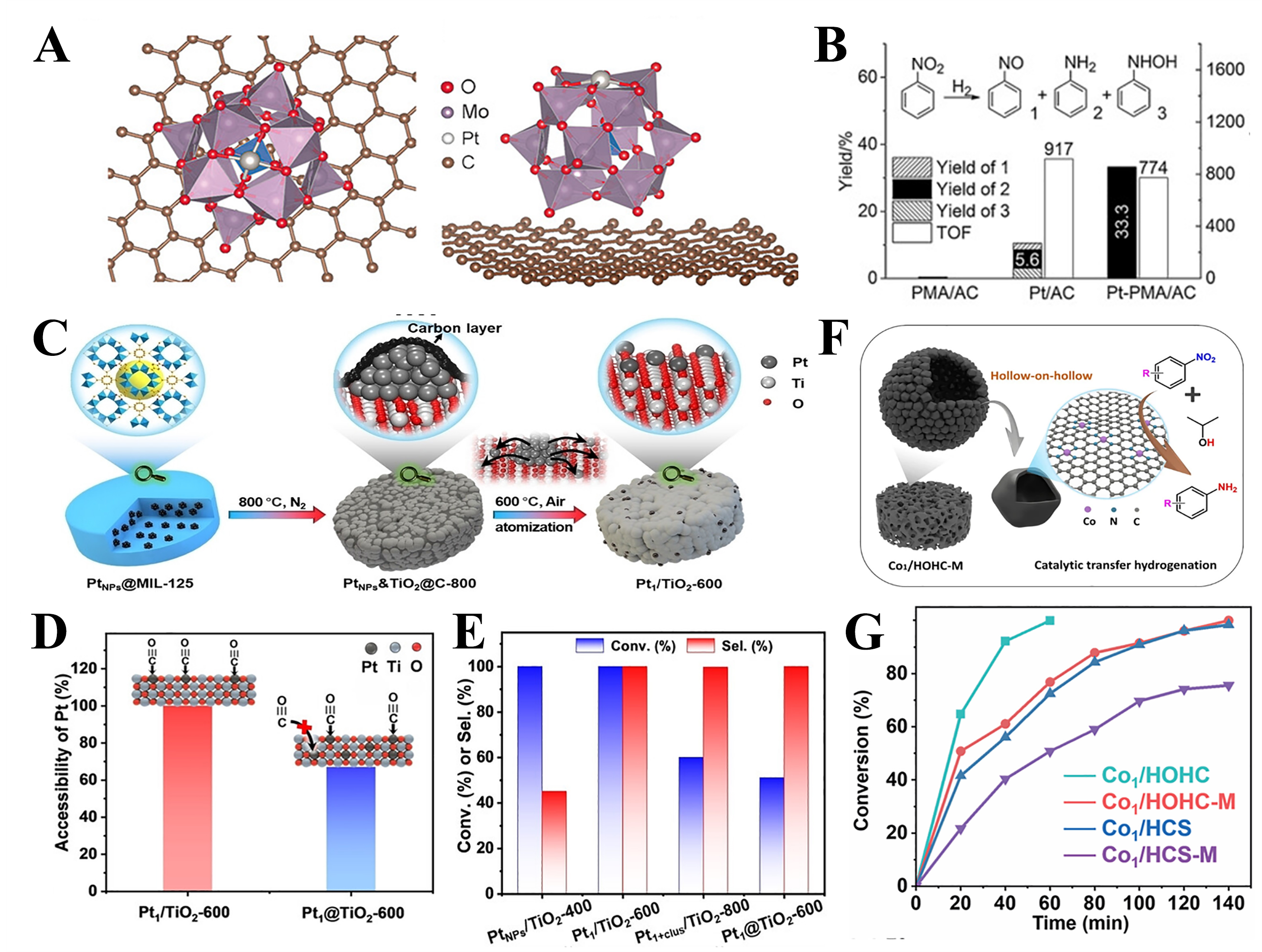 Rational design of single-atom catalysts for efficient hydrogenation of nitro compounds