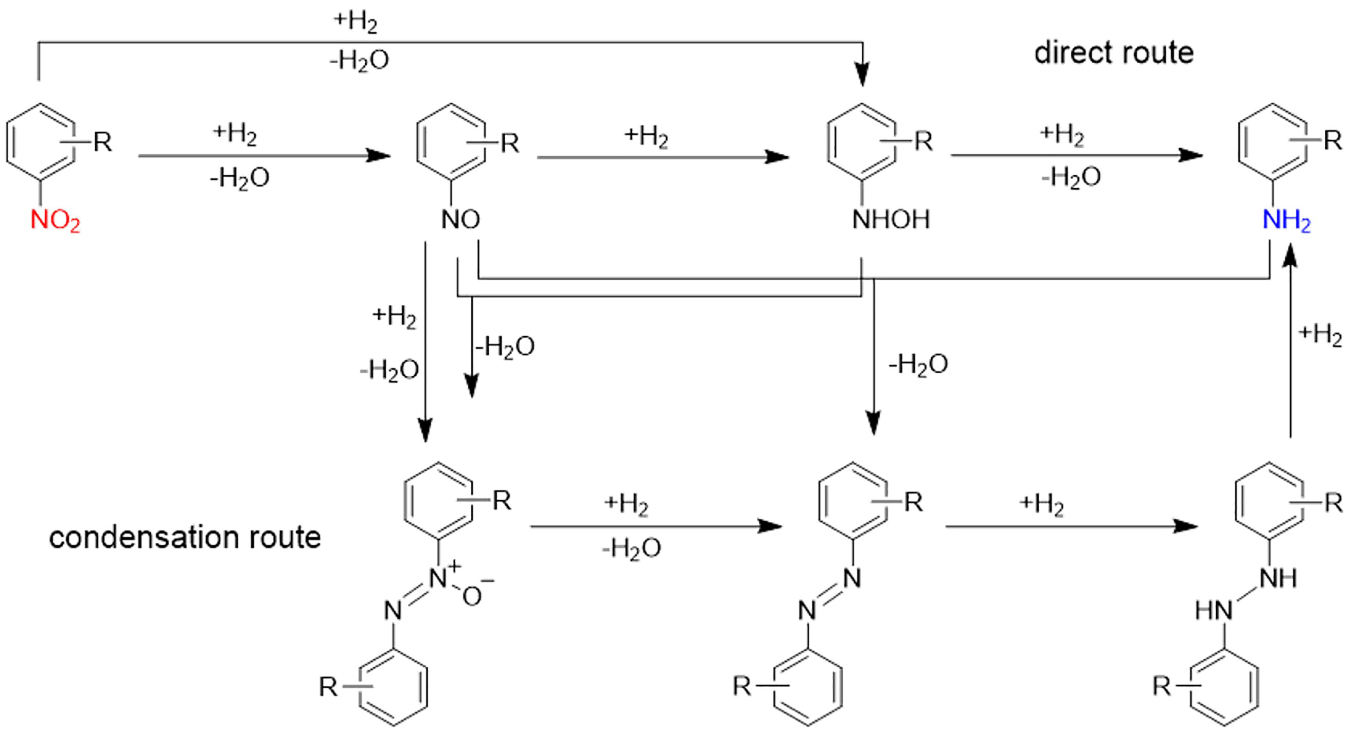 Rational design of single-atom catalysts for efficient hydrogenation of nitro compounds