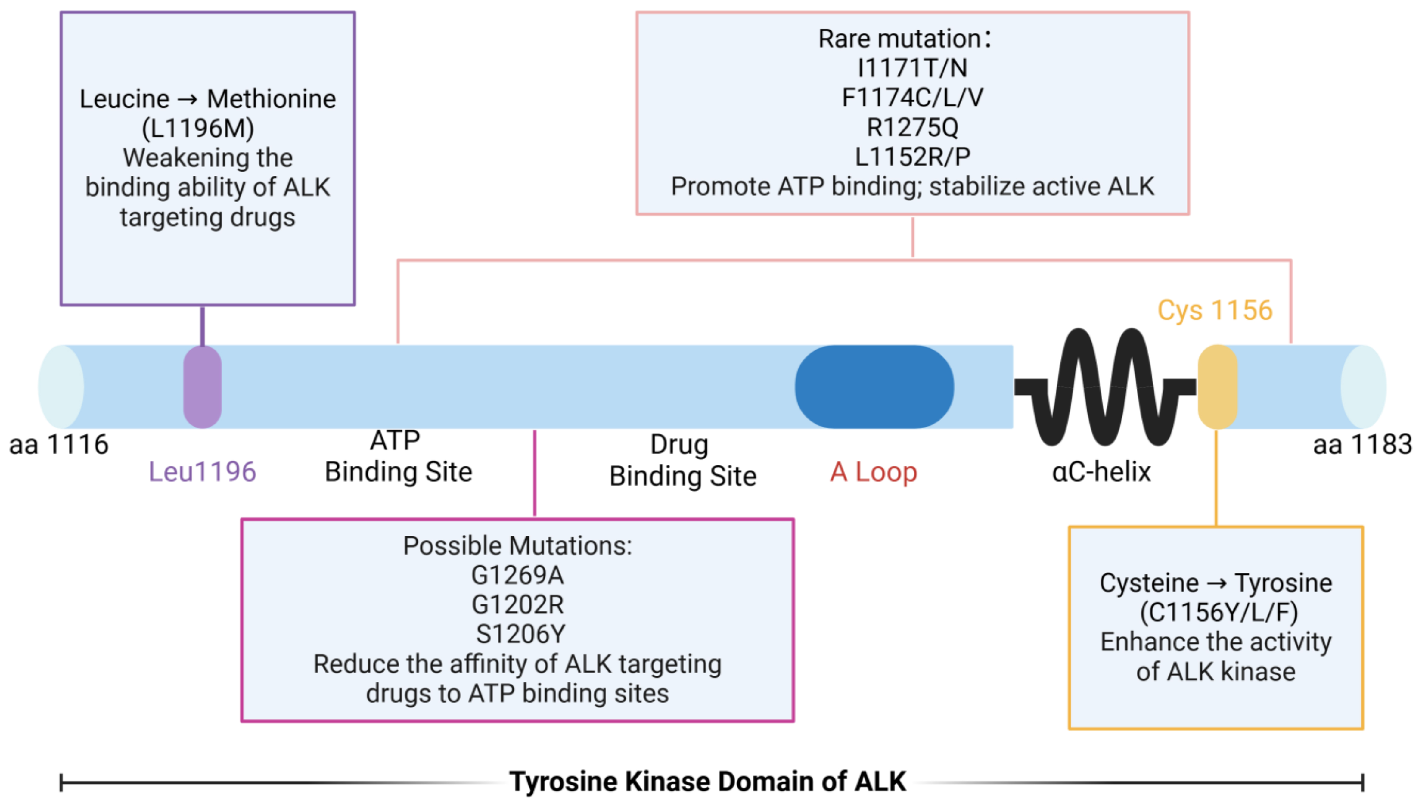 New advances in understanding the mechanisms and treatment challenges of ALK-targeted therapy resistance in lung cancer