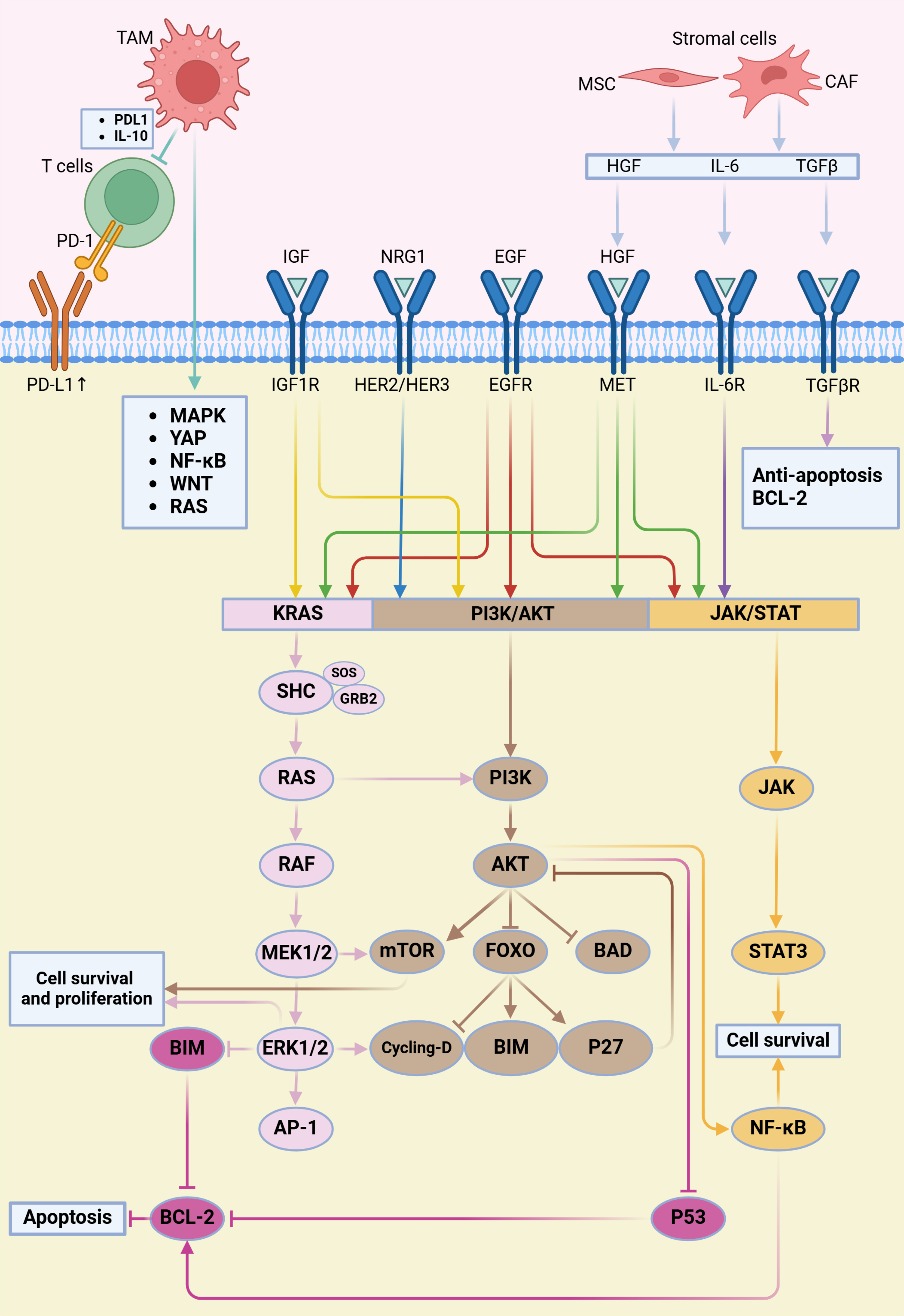 New advances in understanding the mechanisms and treatment challenges of ALK-targeted therapy resistance in lung cancer