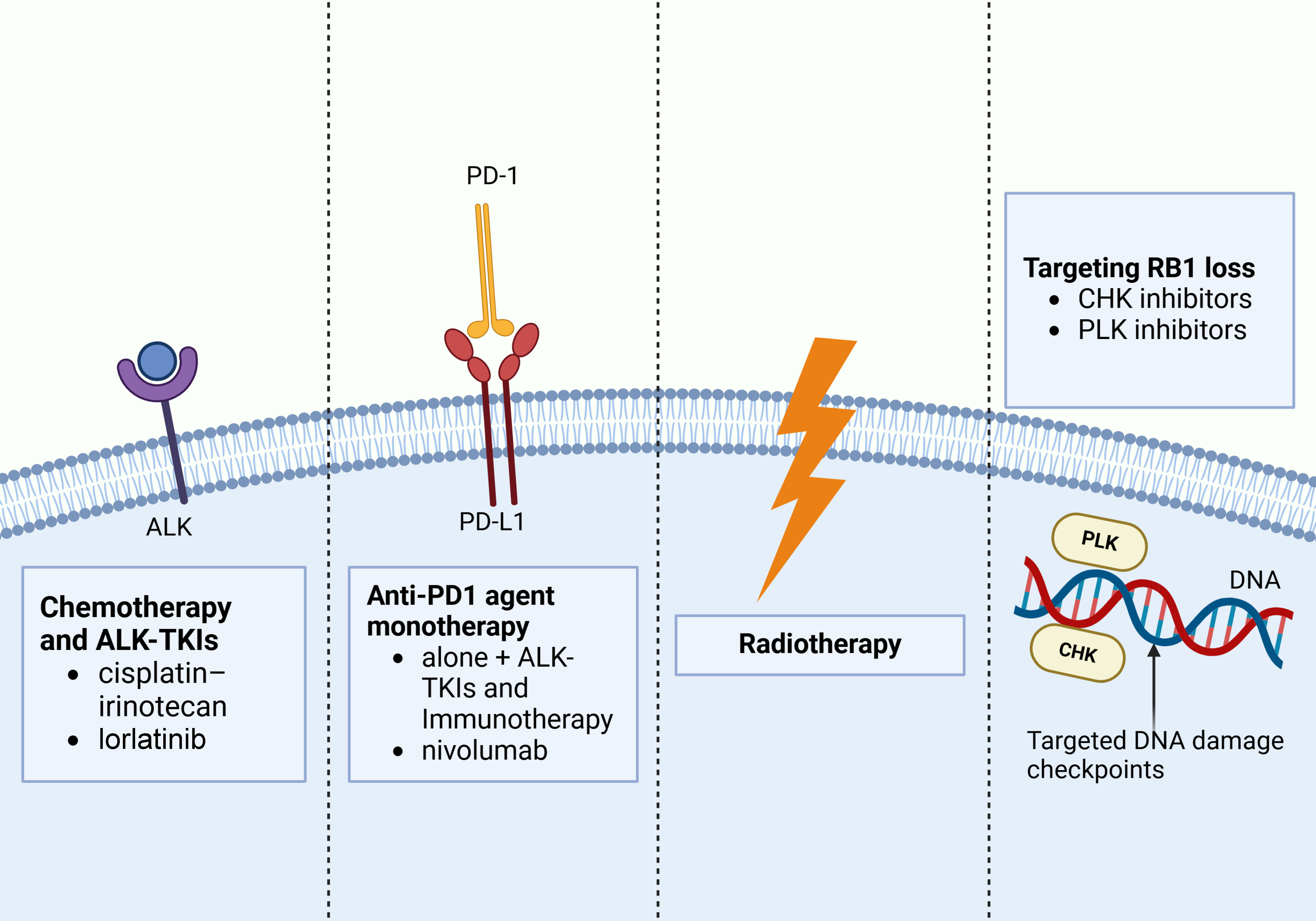 New advances in understanding the mechanisms and treatment challenges of ALK-targeted therapy resistance in lung cancer