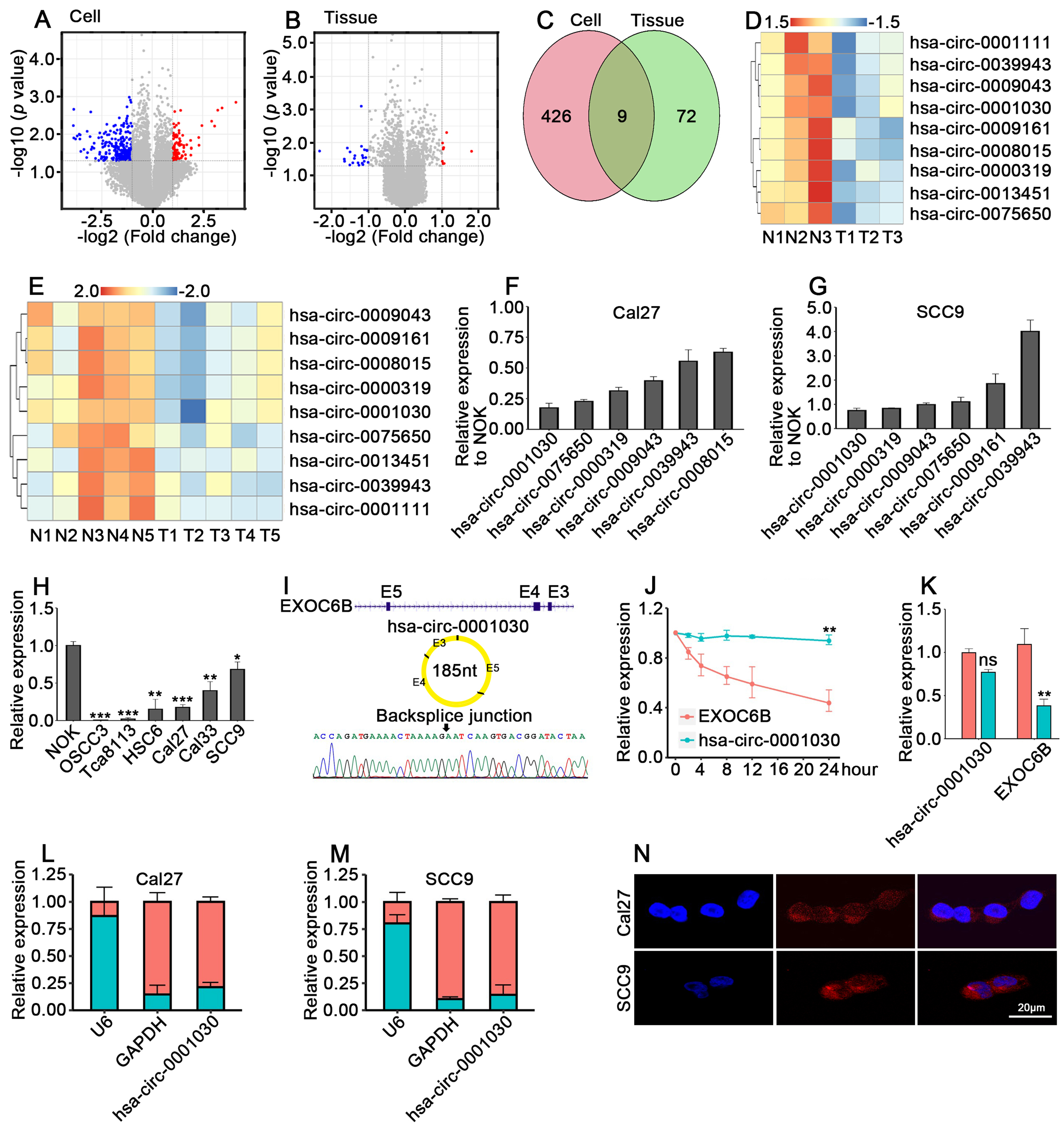 Circular RNA hsa-circ-0001030 suppresses proliferation and cisplatin tolerance in TSCC via interaction with PKM2