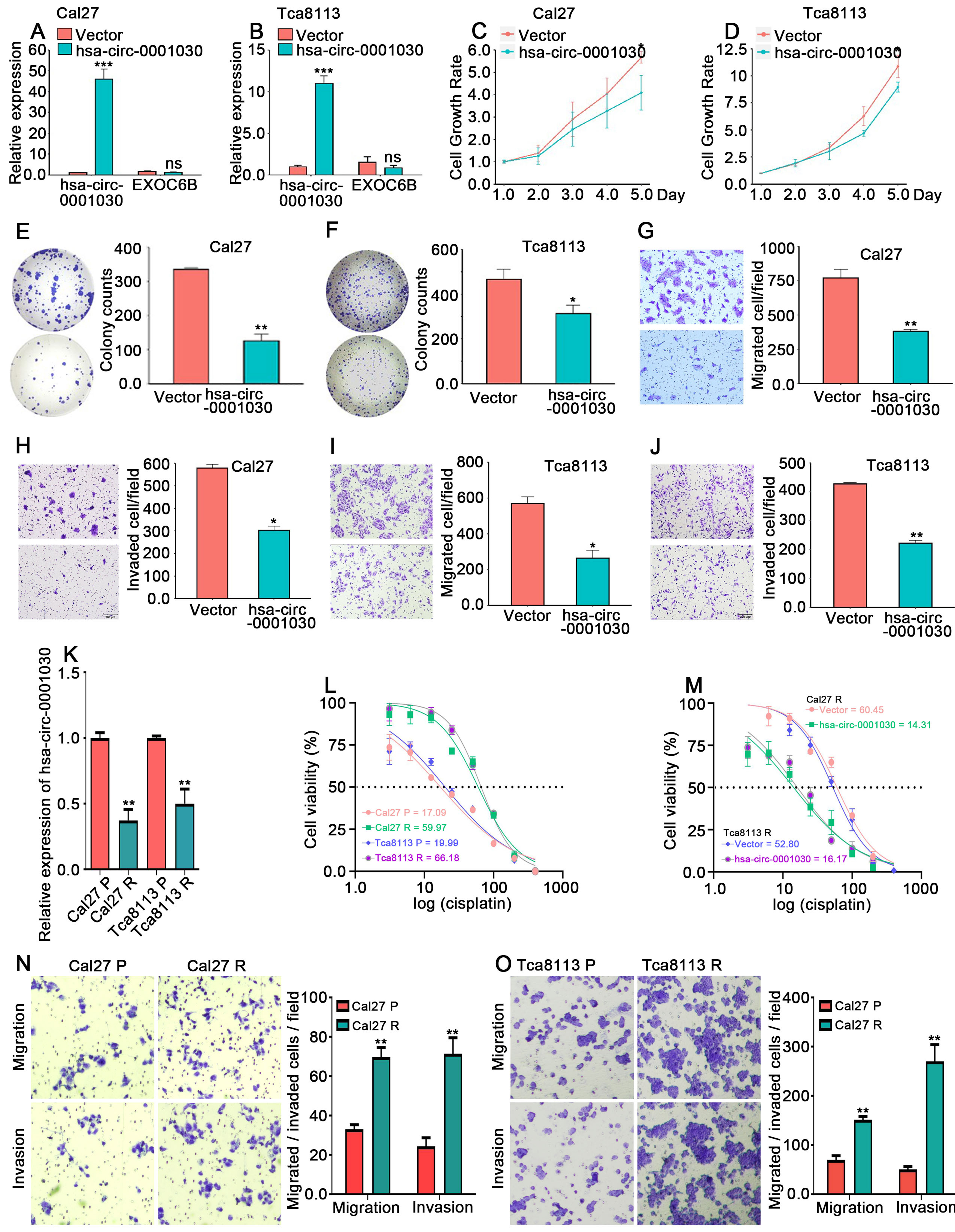 Circular RNA hsa-circ-0001030 suppresses proliferation and cisplatin tolerance in TSCC via interaction with PKM2