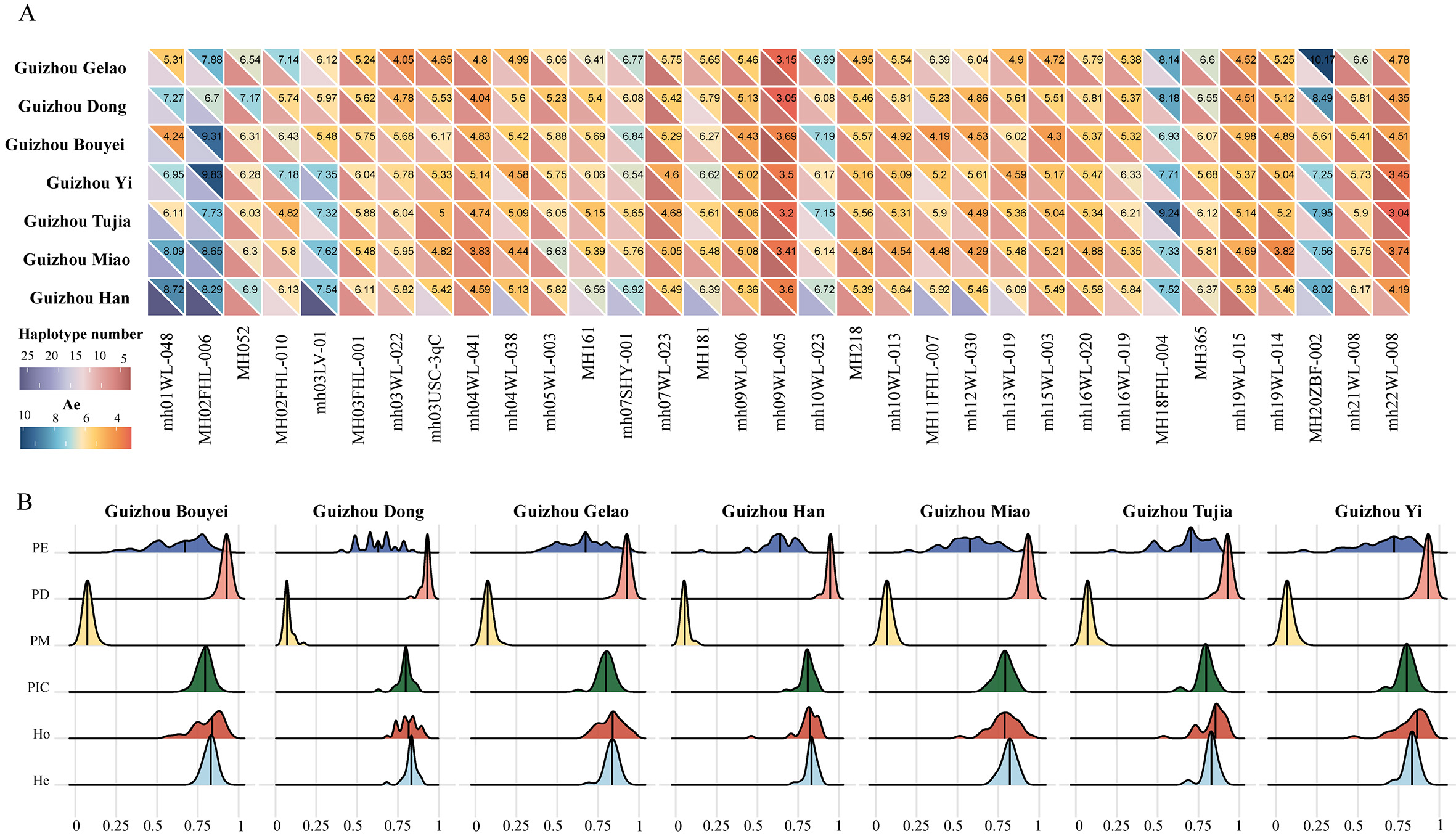 Microhaplotype insights into the population structure of seven ethnic minorities in Guizhou, China