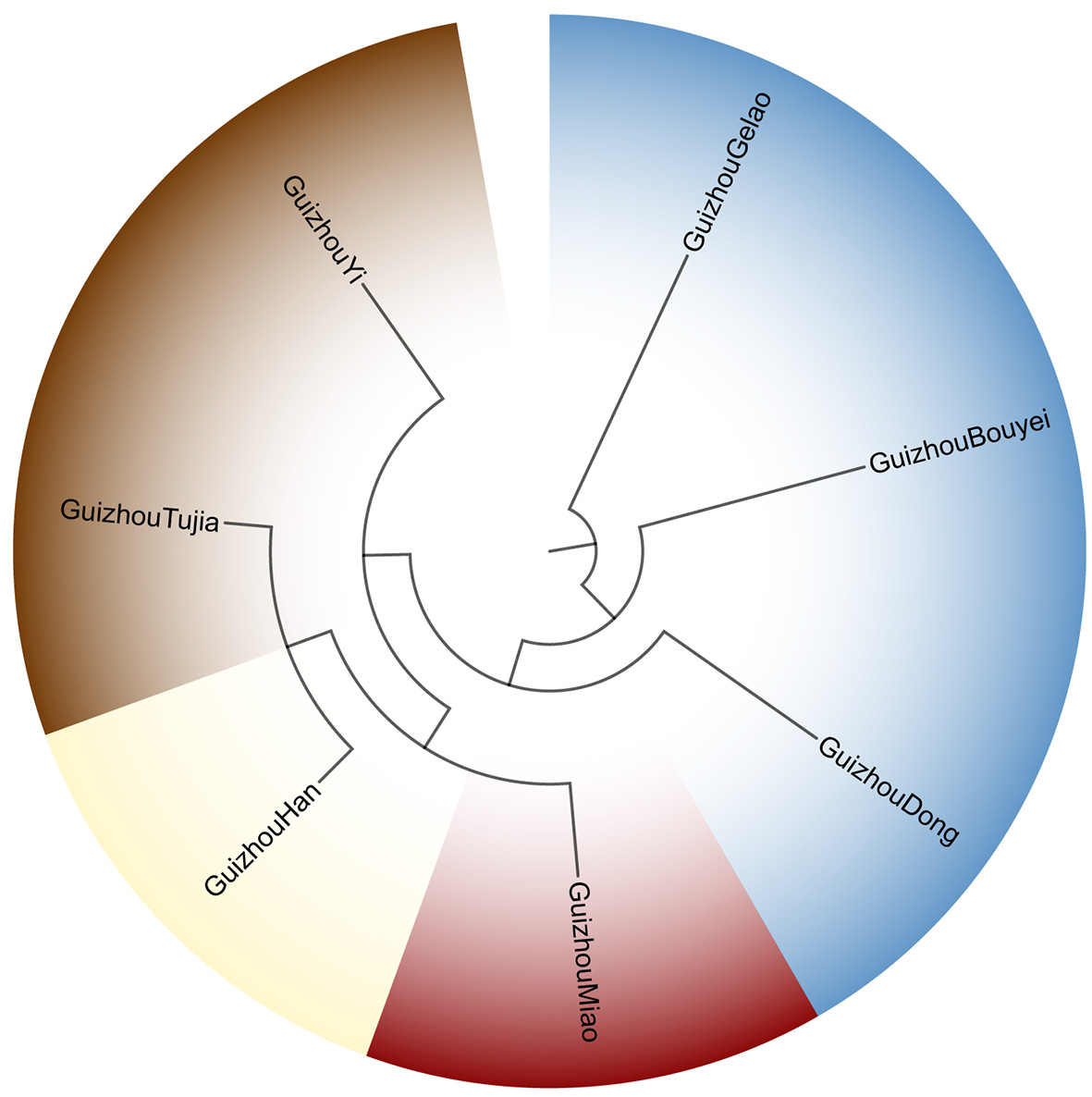 Microhaplotype insights into the population structure of seven ethnic minorities in Guizhou, China