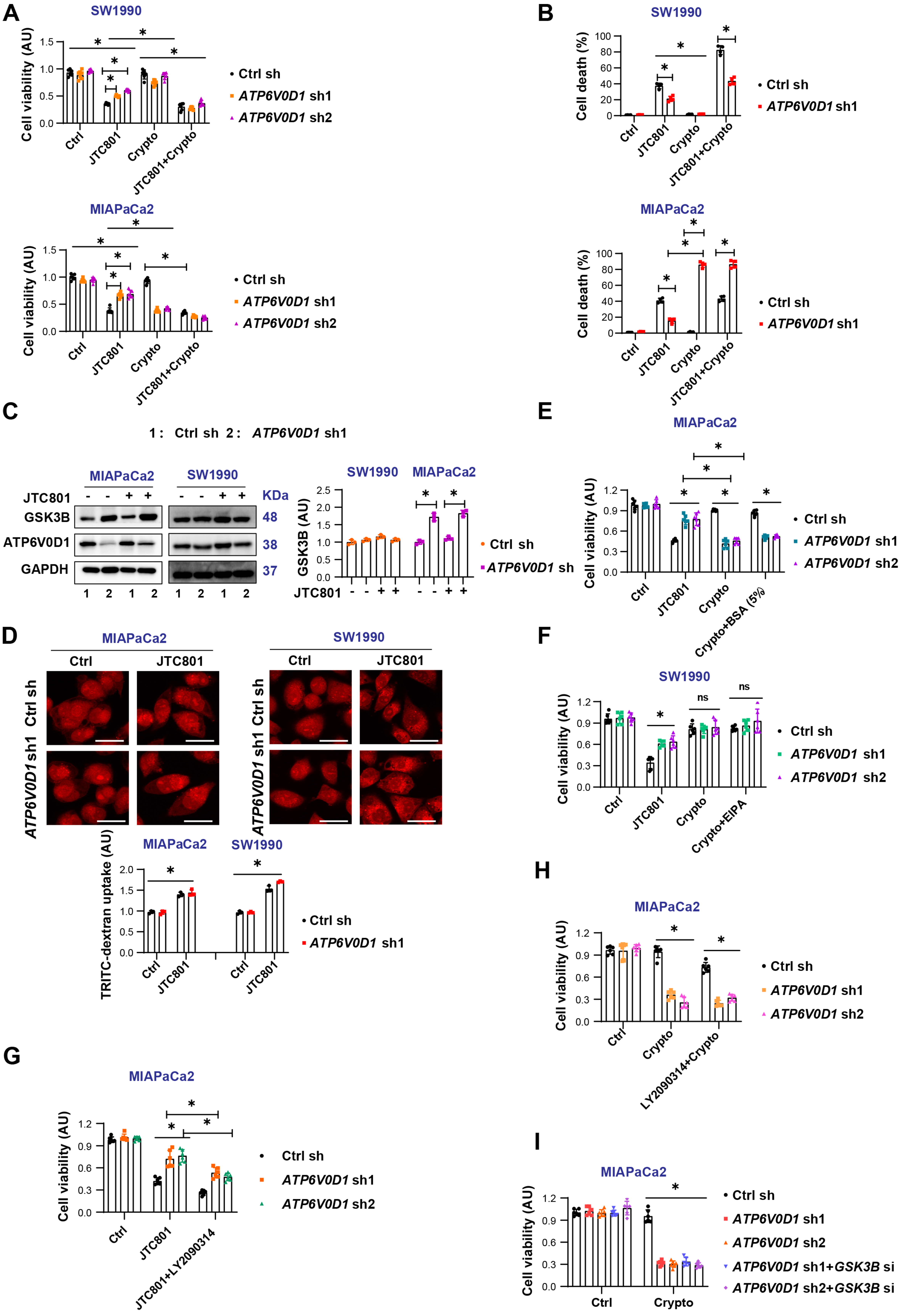 Cryptotanshinone differentially induces cell death in <i>ATP6V0D1</i>-deficient pancreatic cancer cells