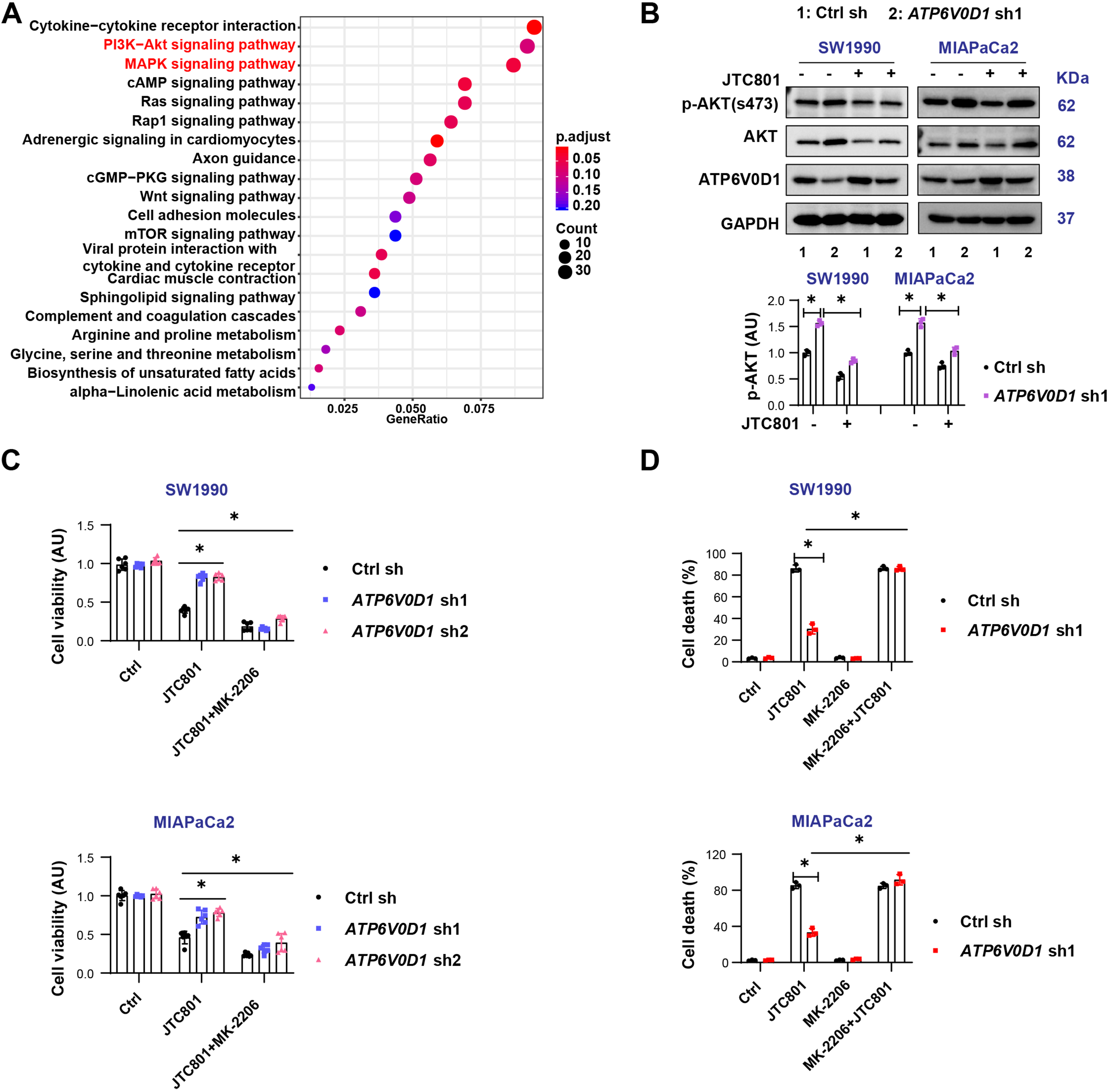 Cryptotanshinone differentially induces cell death in <i>ATP6V0D1</i>-deficient pancreatic cancer cells