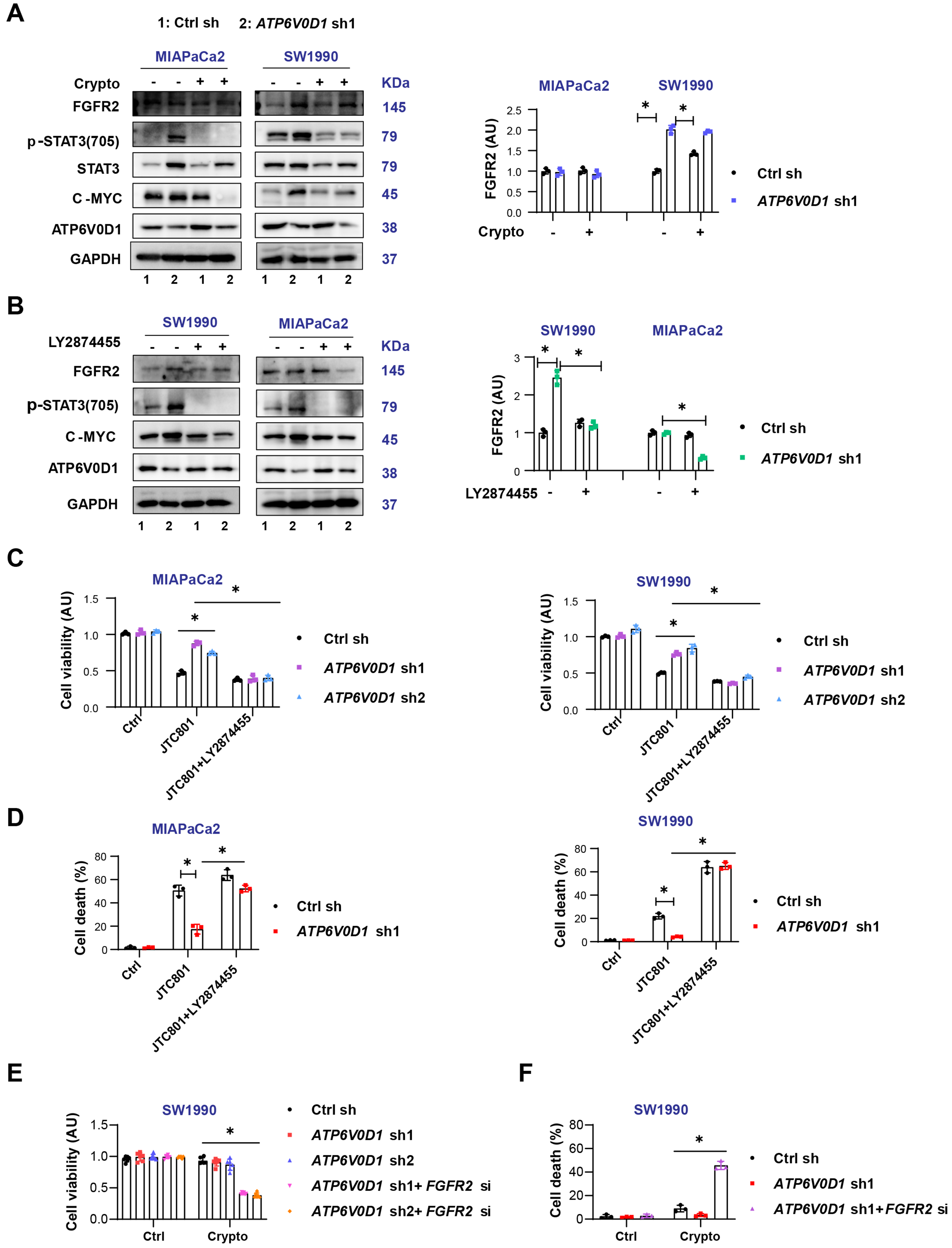 Cryptotanshinone differentially induces cell death in <i>ATP6V0D1</i>-deficient pancreatic cancer cells