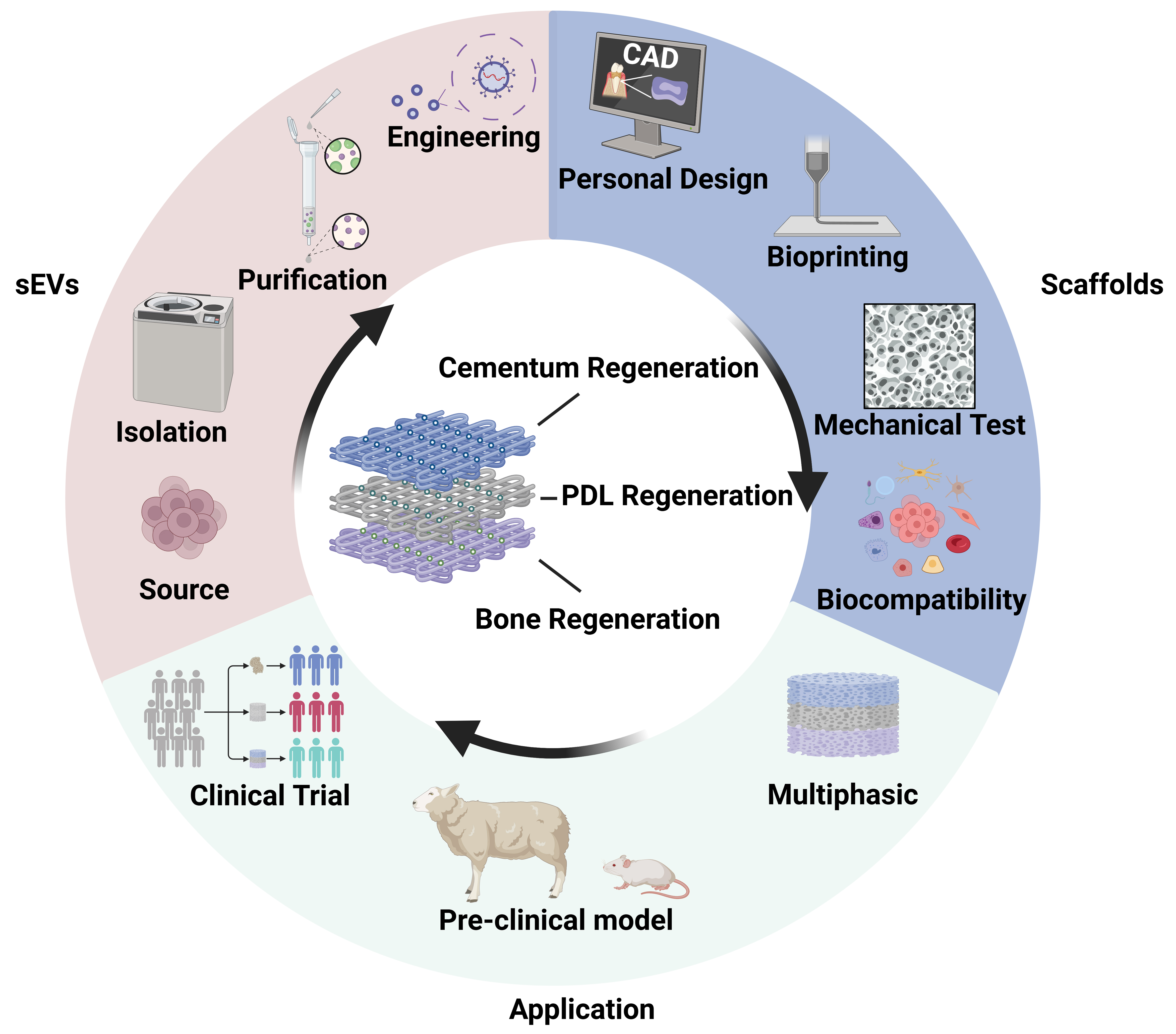 Synergistic potentials of small extracellular vesicles, biomaterials, and 3D bioprinting in periodontal regeneration: a scoping review