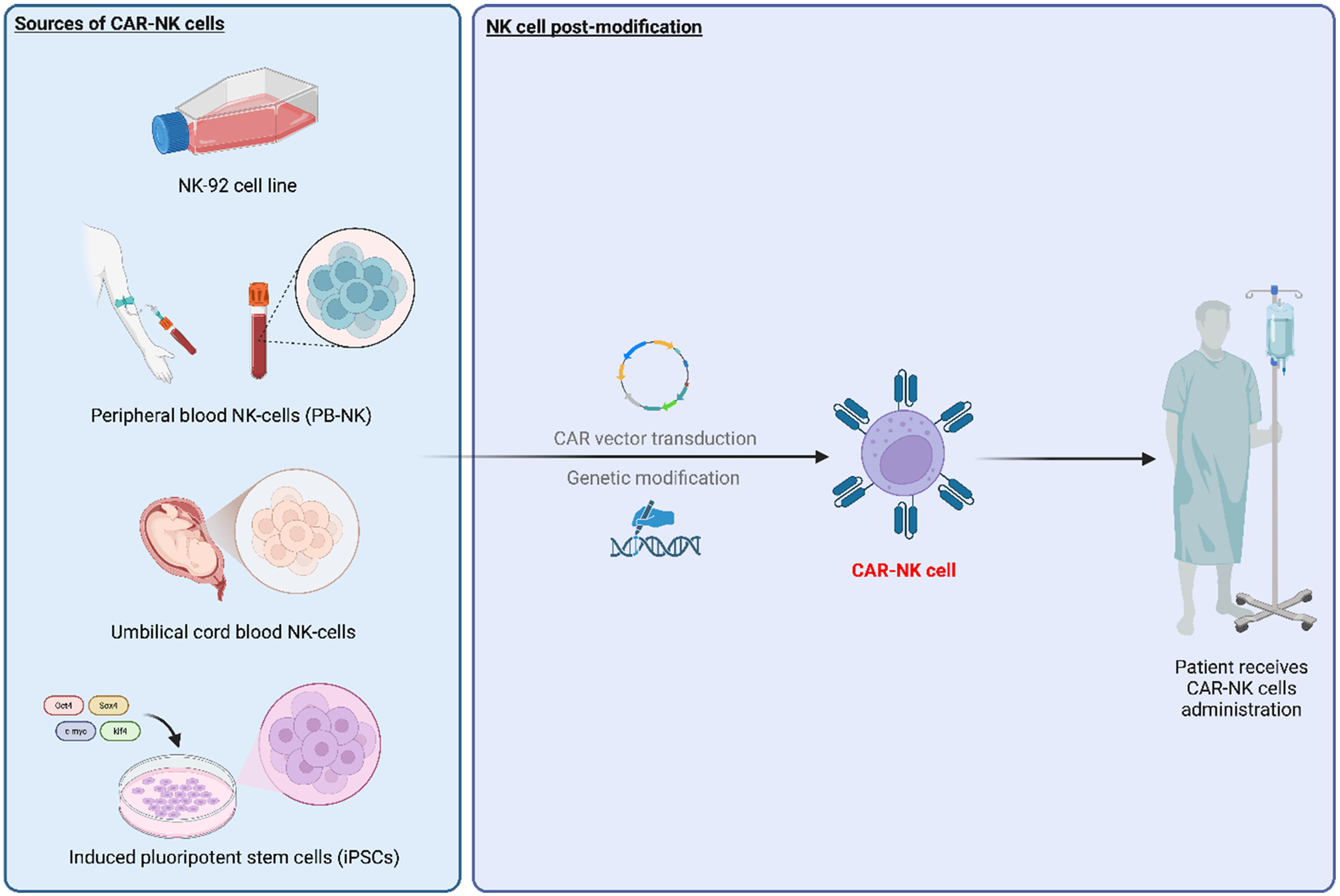 Emerging potential of CAR-NK cell therapy for hepatocellular carcinoma: current advances and translational challenges