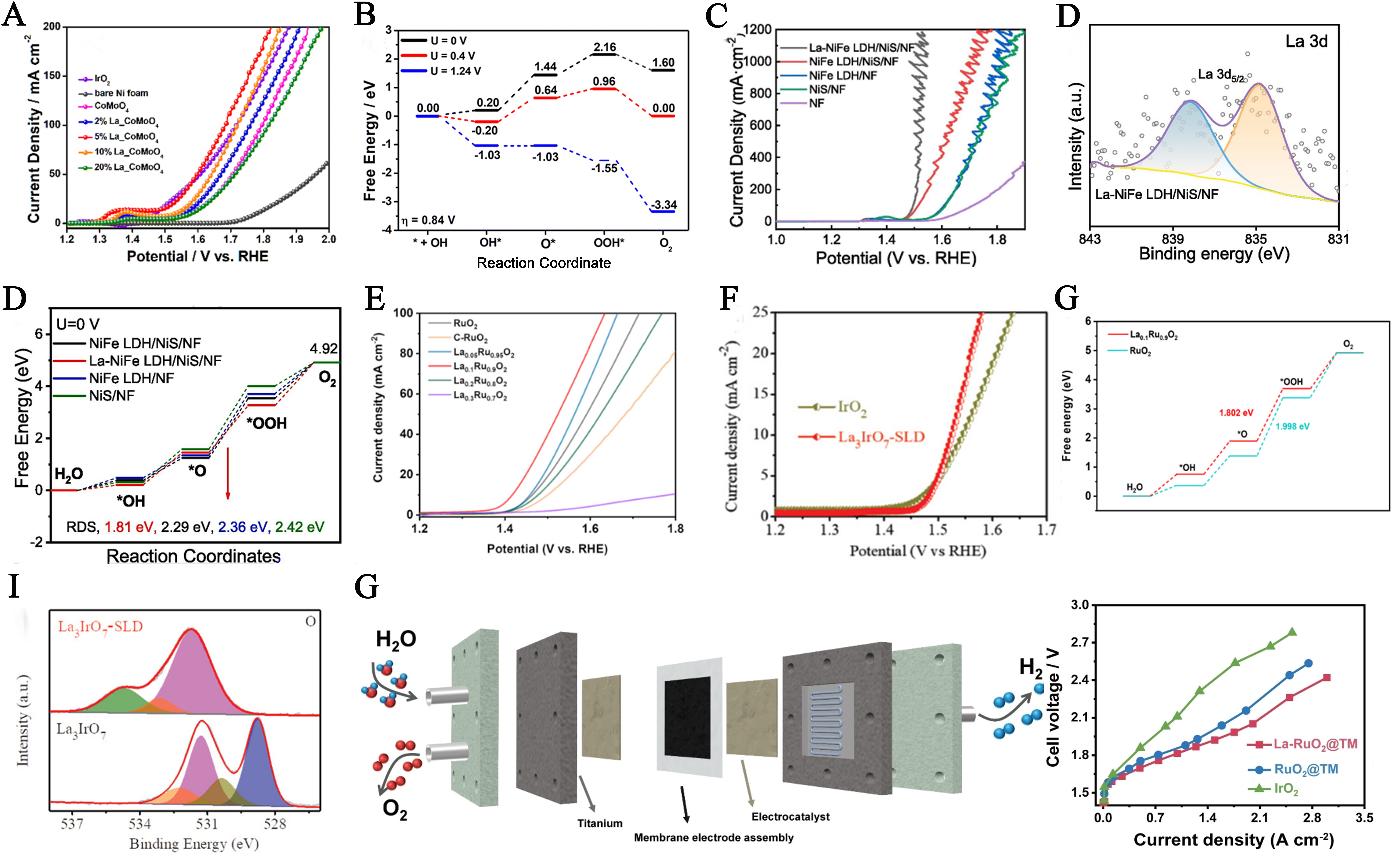Multi-functional engineering of rare earth-based catalysts for high-efficiency water splitting