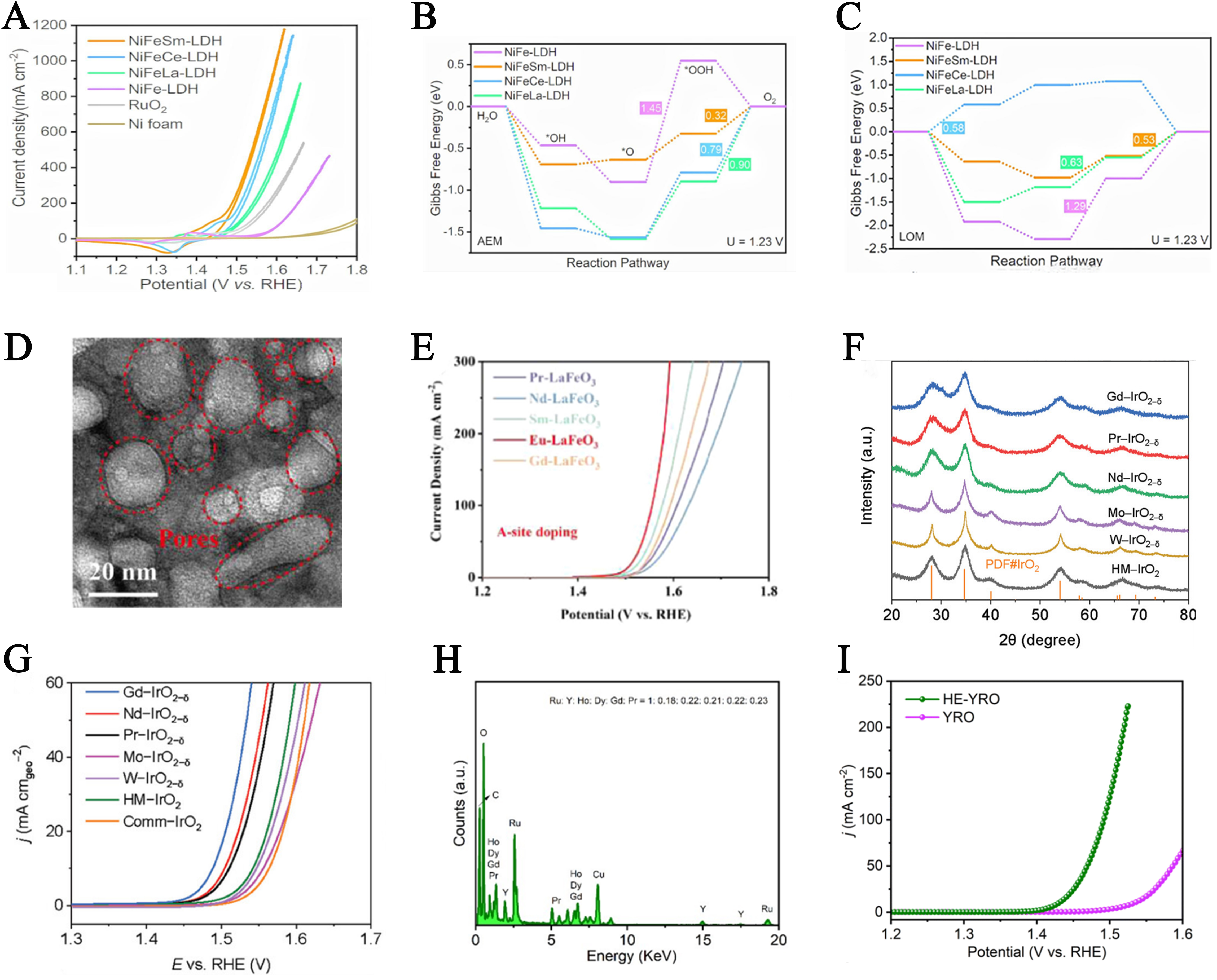 Multi-functional engineering of rare earth-based catalysts for high-efficiency water splitting