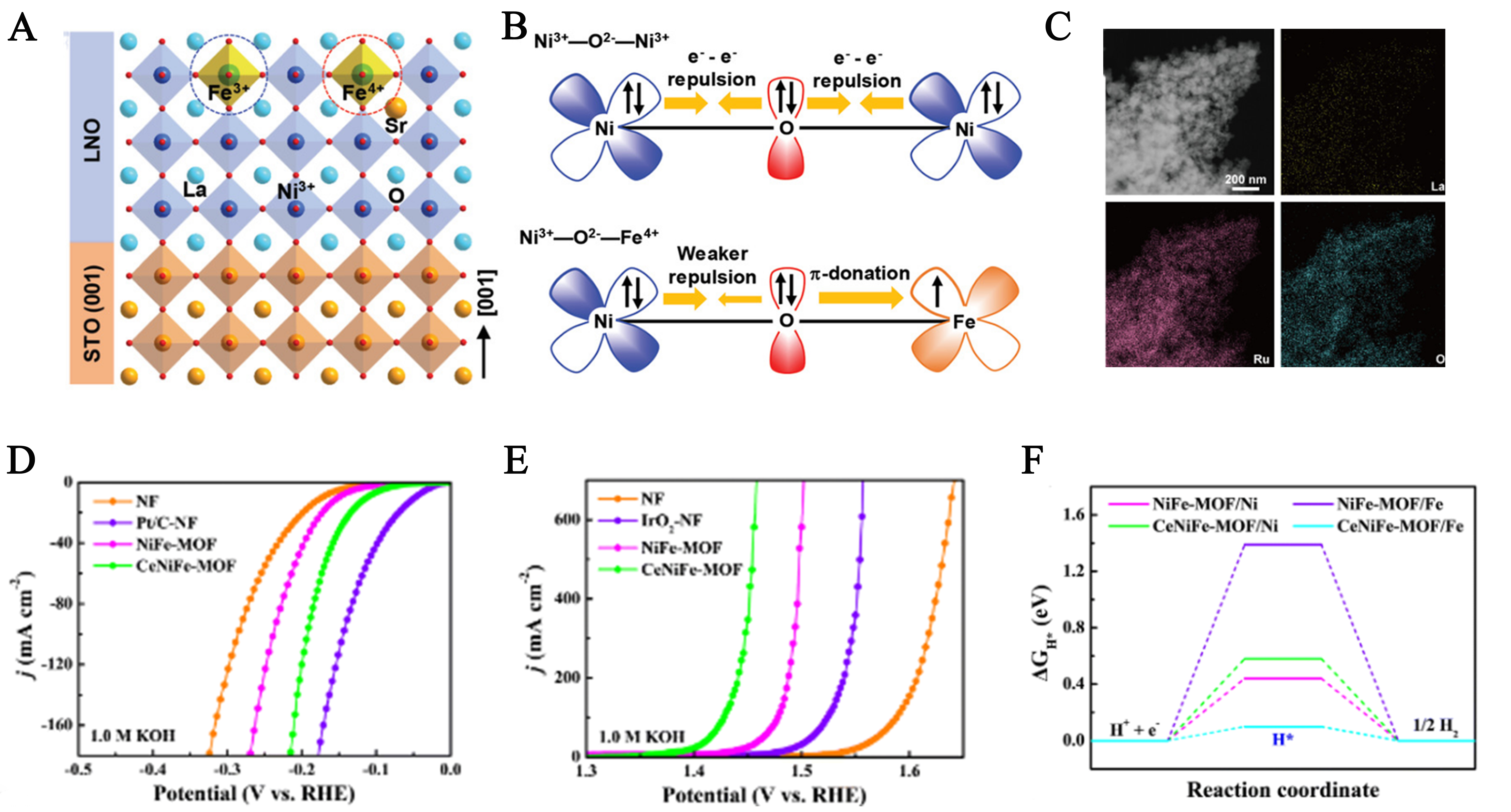 Multi-functional engineering of rare earth-based catalysts for high-efficiency water splitting