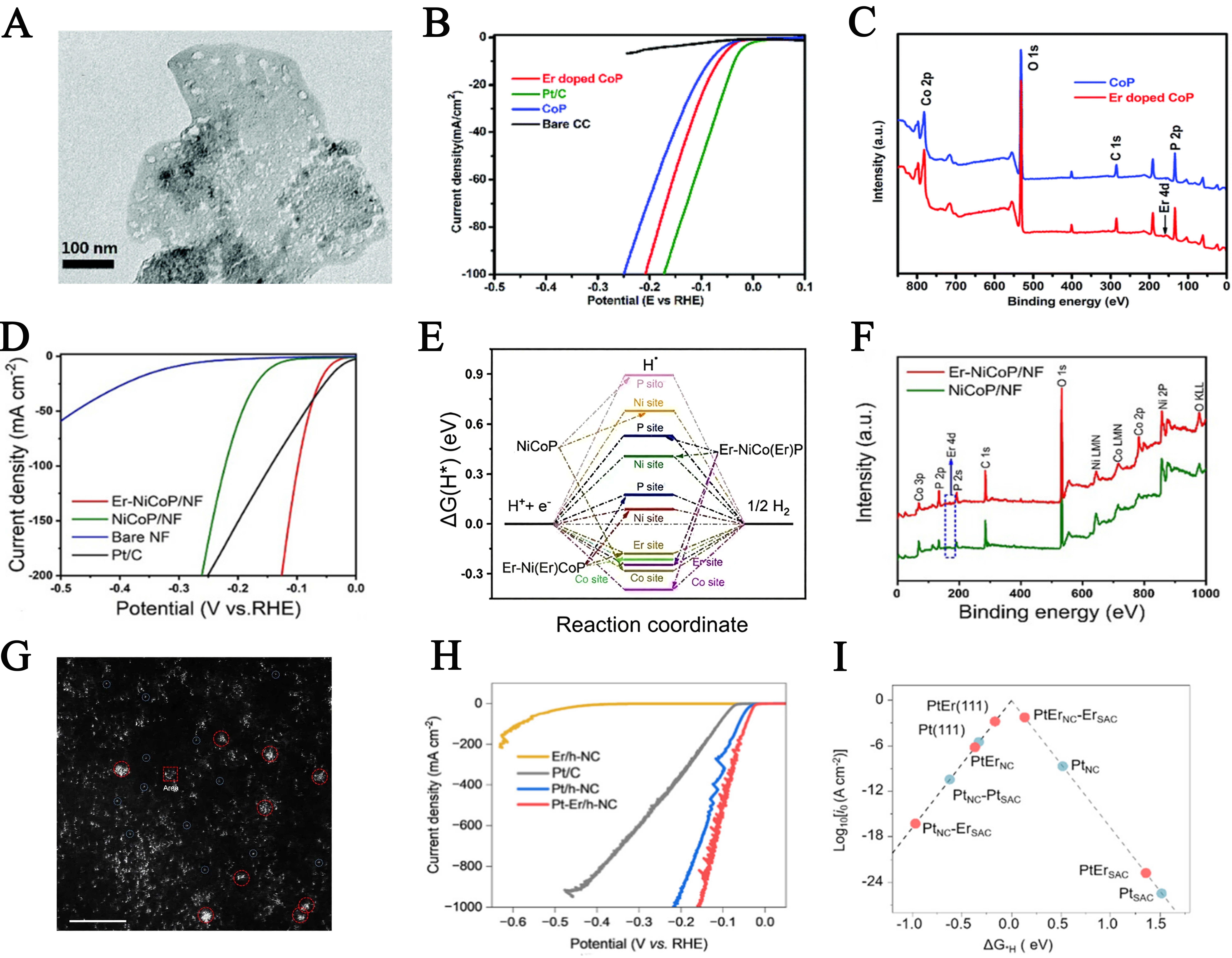 Multi-functional engineering of rare earth-based catalysts for high-efficiency water splitting