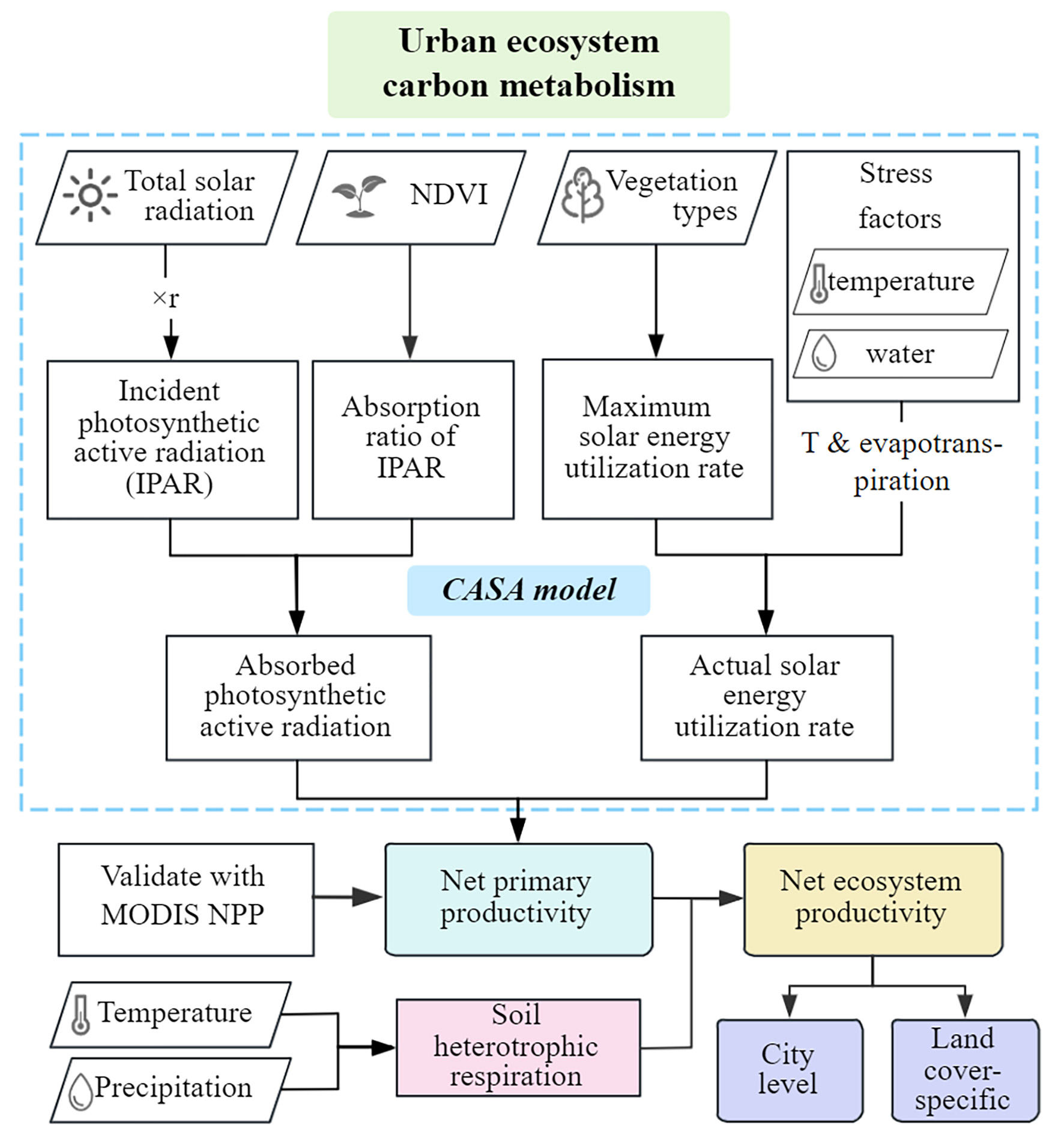 High-resolution net ecosystem productivity modeling reveals spatiotemporal heterogeneity of urban carbon metabolism