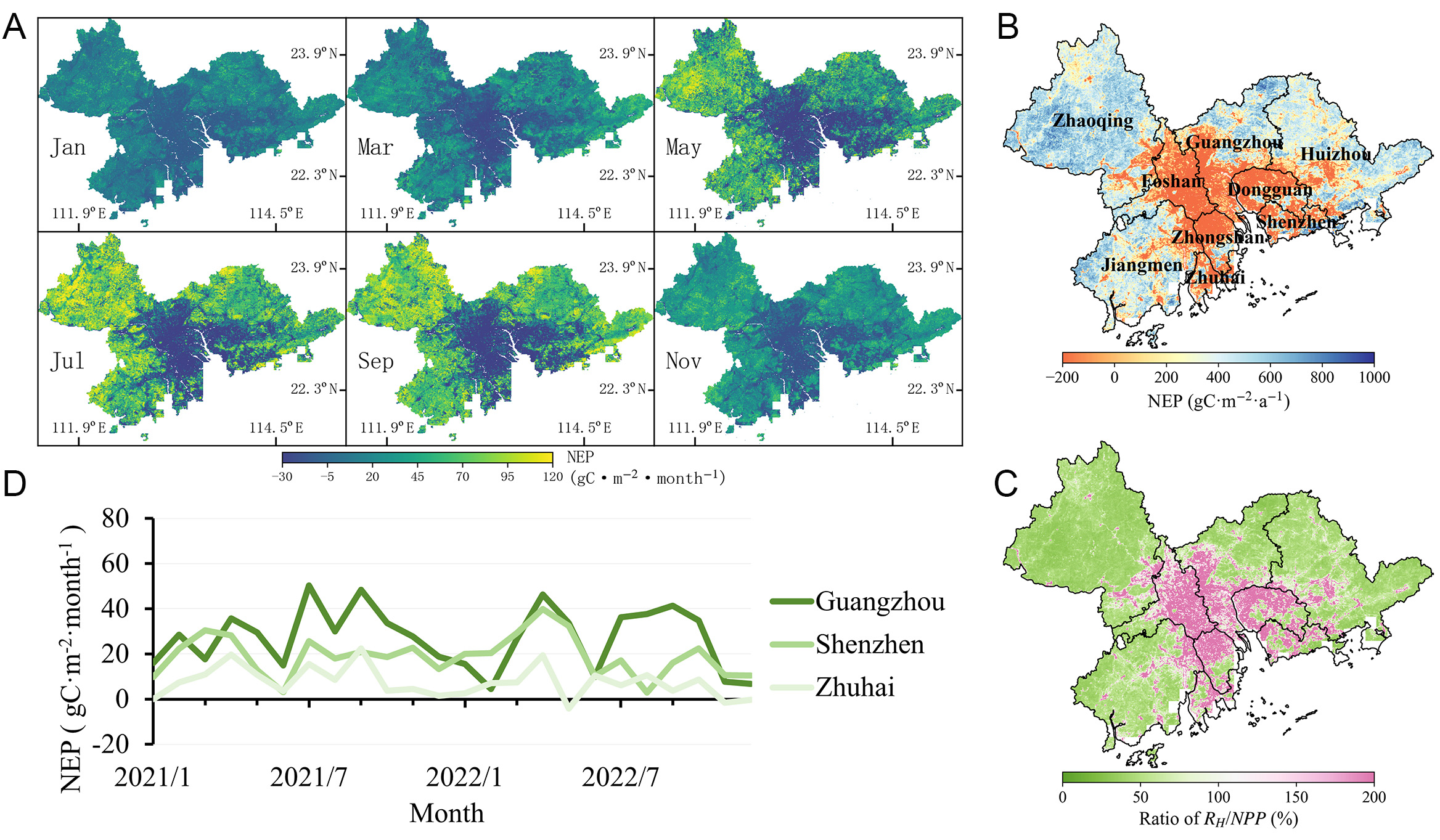 High-resolution net ecosystem productivity modeling reveals spatiotemporal heterogeneity of urban carbon metabolism
