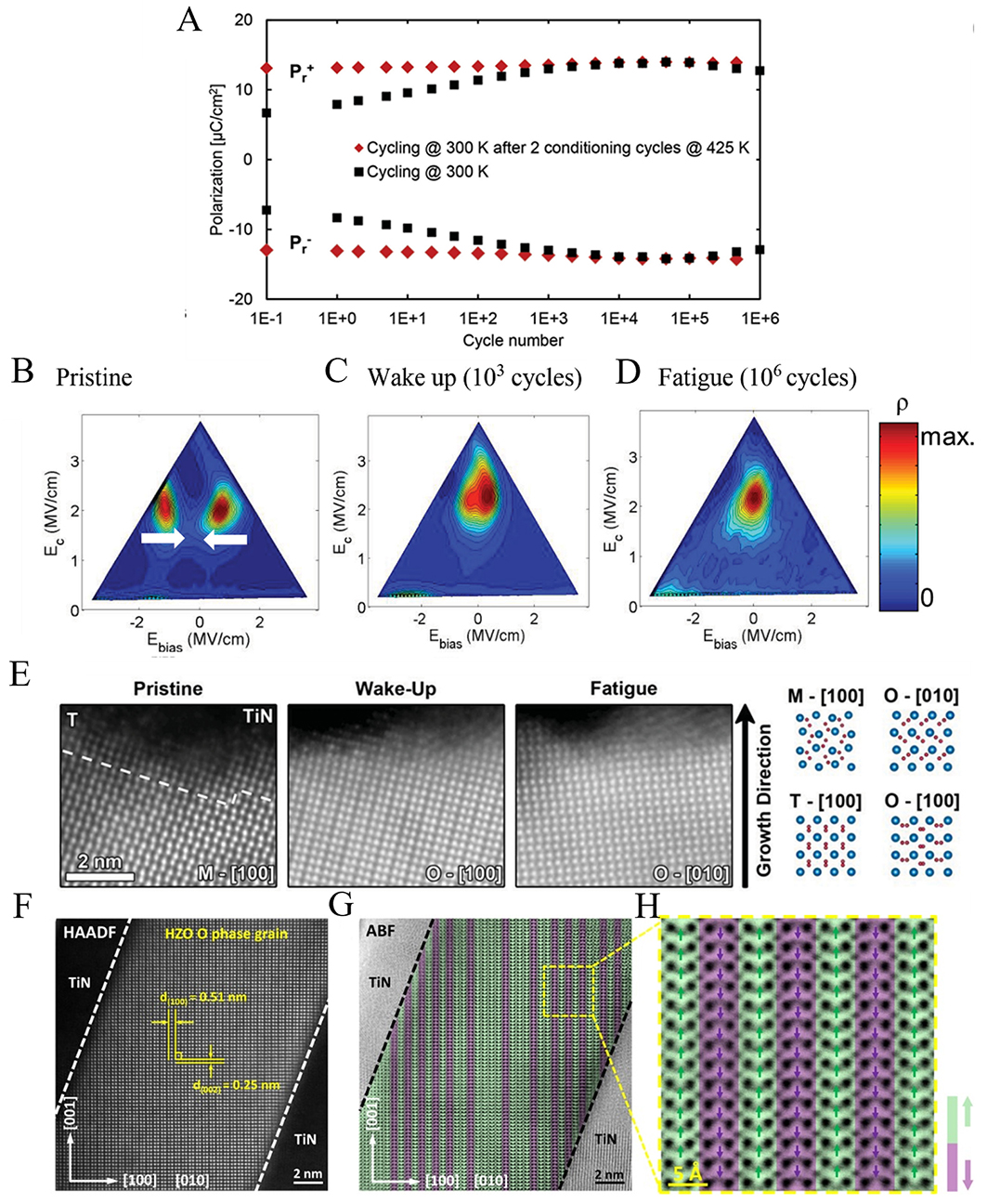 Progress on hafnium oxide-based emerging ferroelectric materials and applications