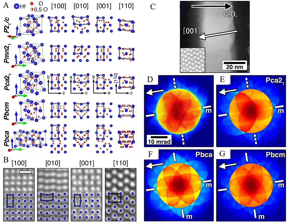 Progress on hafnium oxide-based emerging ferroelectric materials and applications