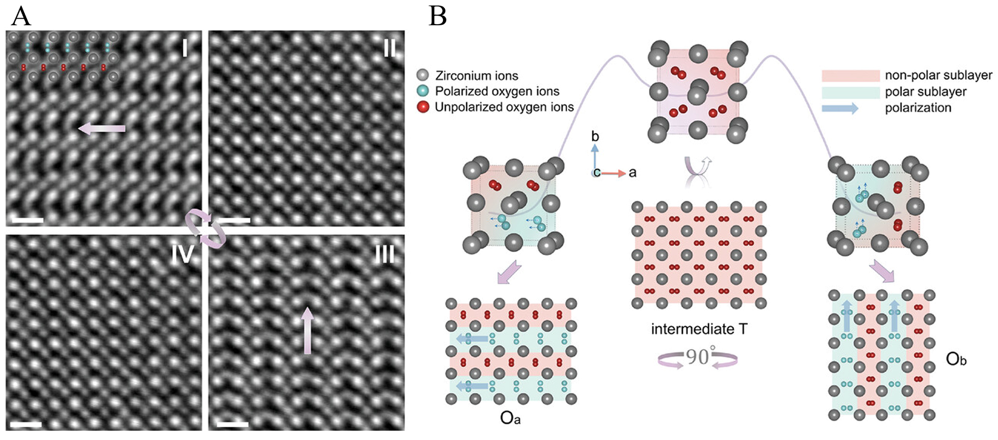 Progress on hafnium oxide-based emerging ferroelectric materials and applications