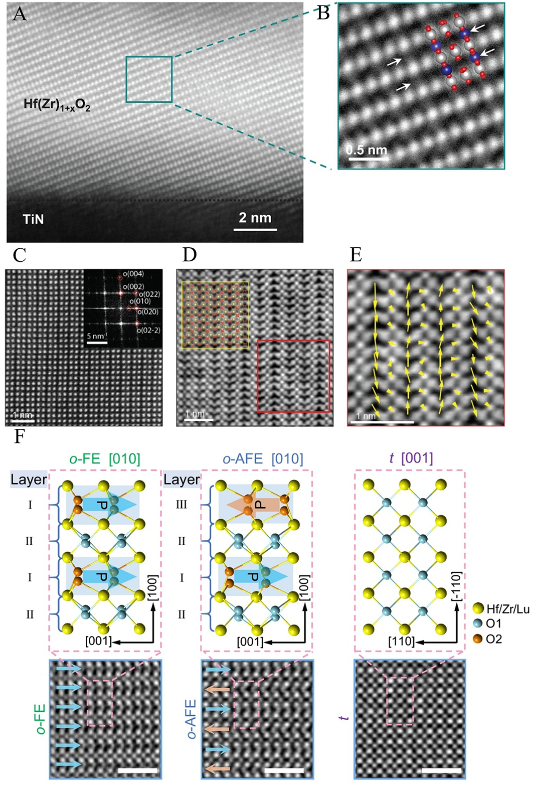 Progress on hafnium oxide-based emerging ferroelectric materials and applications