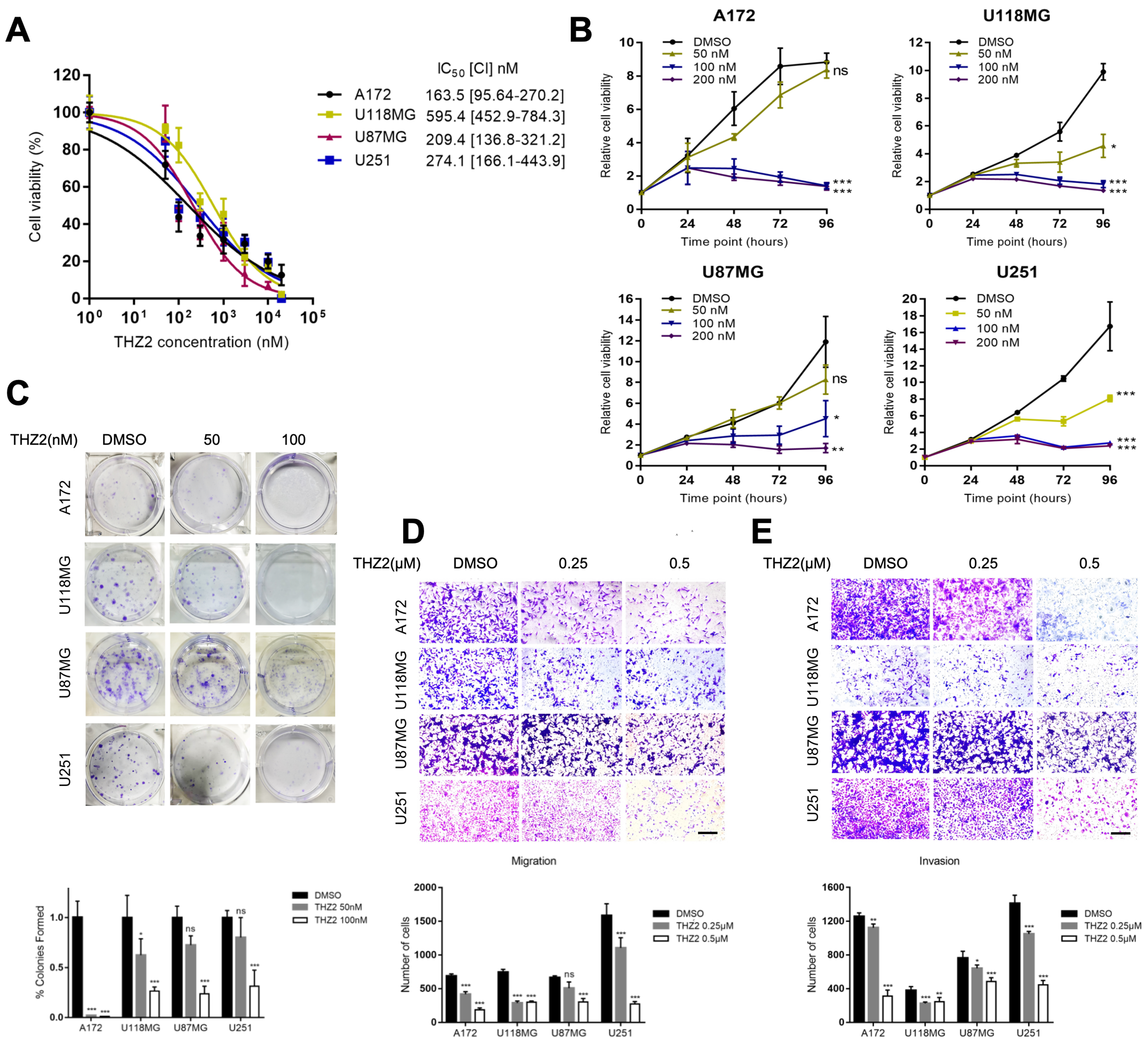 Super-enhancer inhibitors THZ2 and JQ1 reverse temozolomide resistance in glioblastoma by suppressing SE-driven SOX9 expression