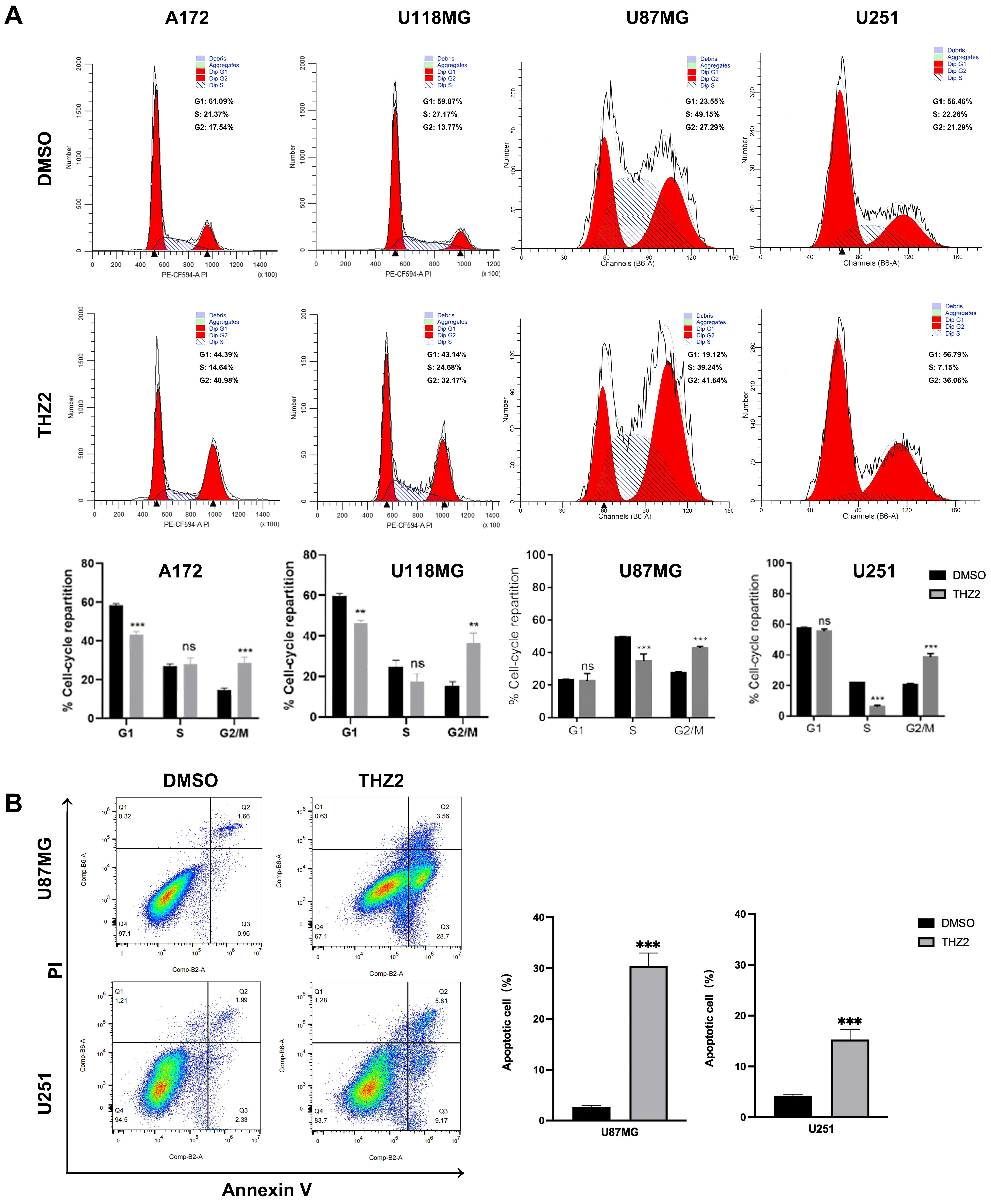 Super-enhancer inhibitors THZ2 and JQ1 reverse temozolomide resistance in glioblastoma by suppressing SE-driven SOX9 expression