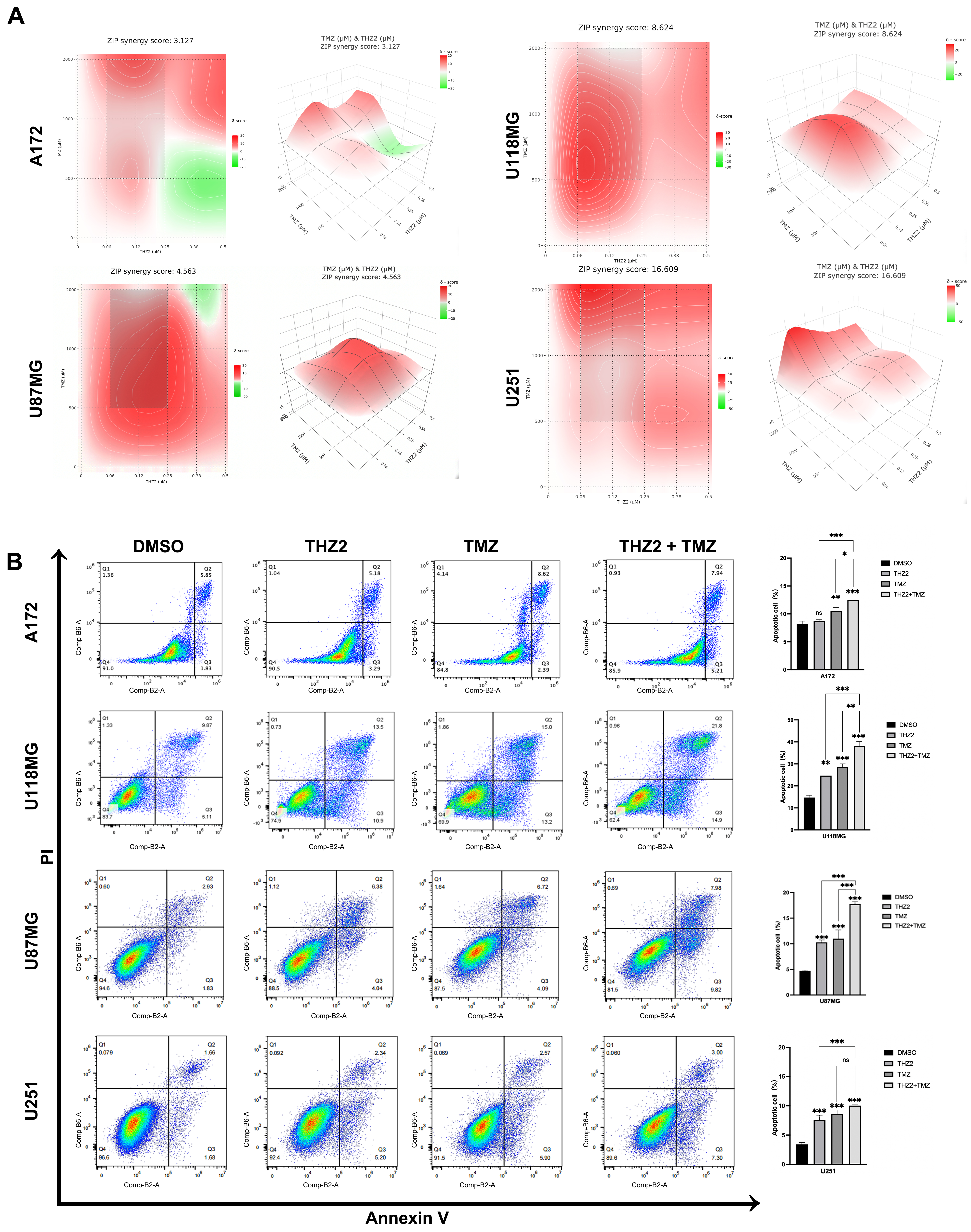 Super-enhancer inhibitors THZ2 and JQ1 reverse temozolomide resistance in glioblastoma by suppressing SE-driven SOX9 expression
