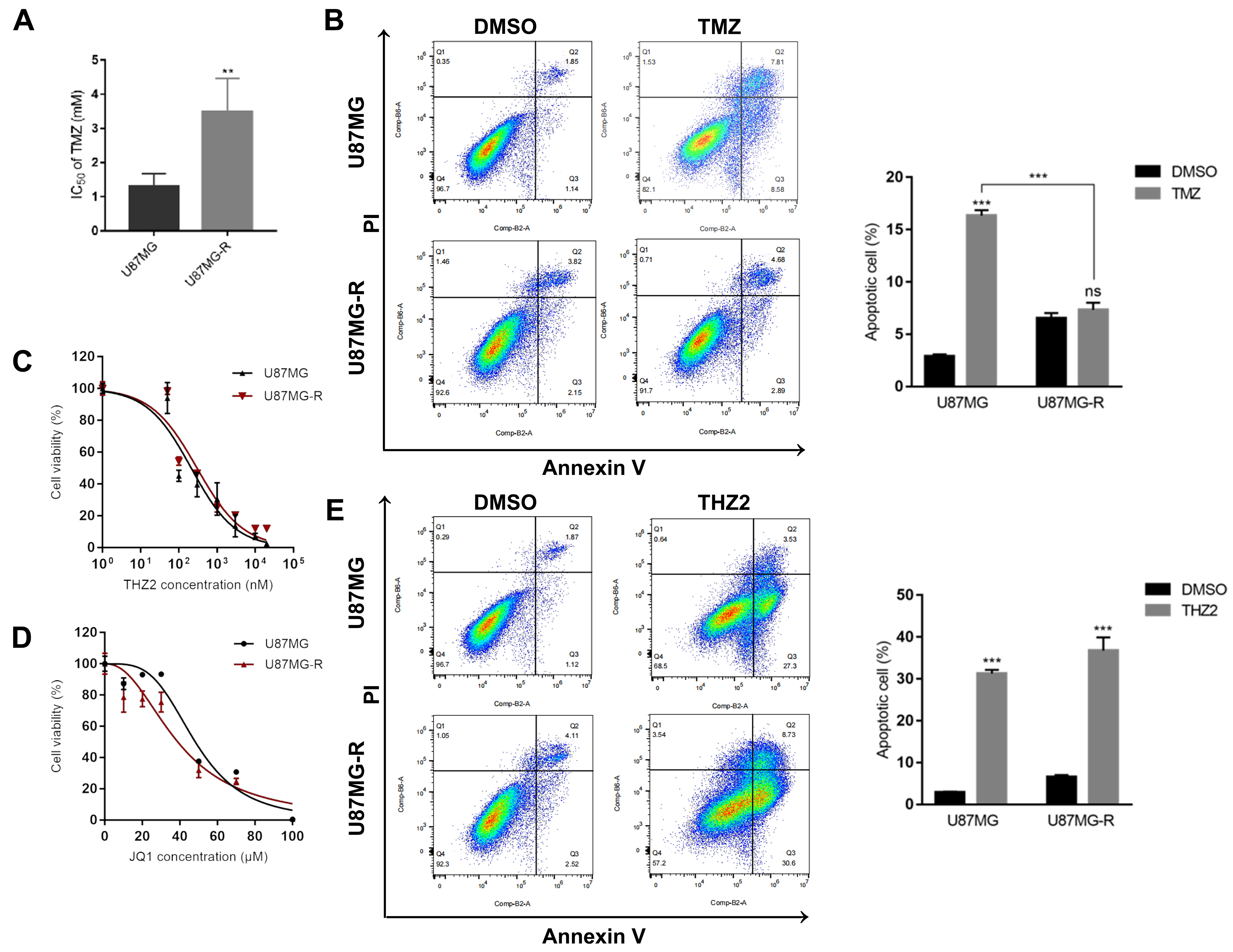 Super-enhancer inhibitors THZ2 and JQ1 reverse temozolomide resistance in glioblastoma by suppressing SE-driven SOX9 expression