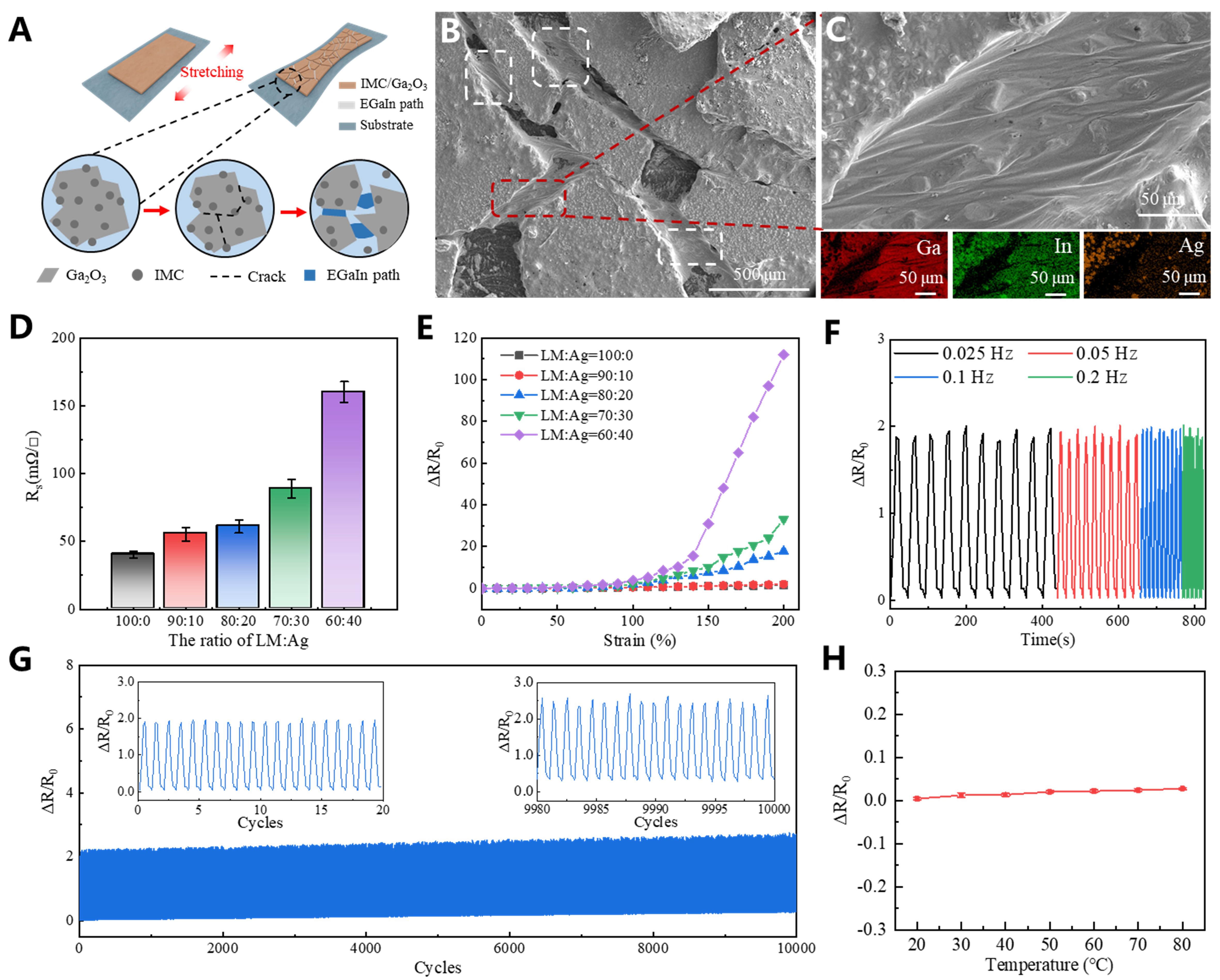 High-precision electrohydrodynamic printing of EGaIn-AgNPs biphasic conductive ink for conformal and lightweight bioelectrodes