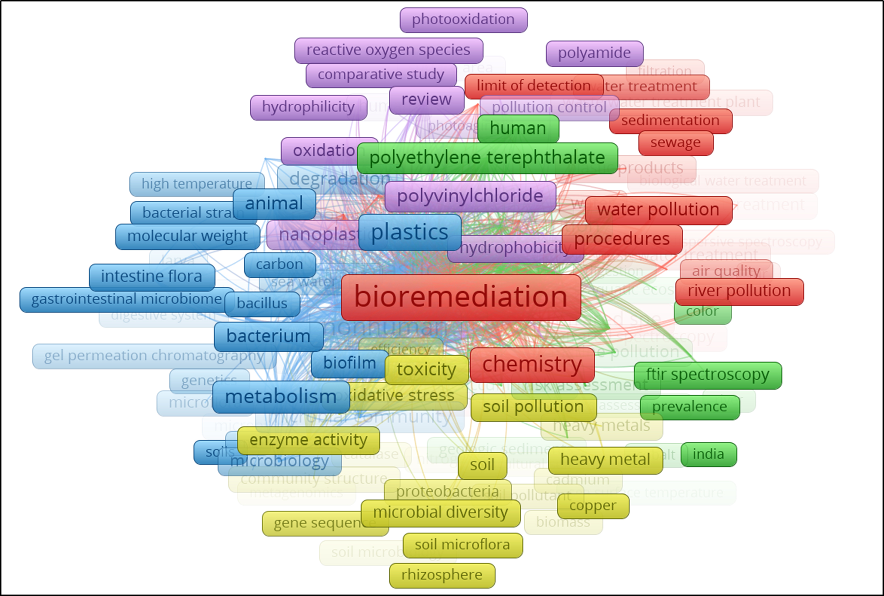Microbial biodegradation of polystyrene microplastics: isolation, characterization and degradation efficiency of a river-isolated bacterium