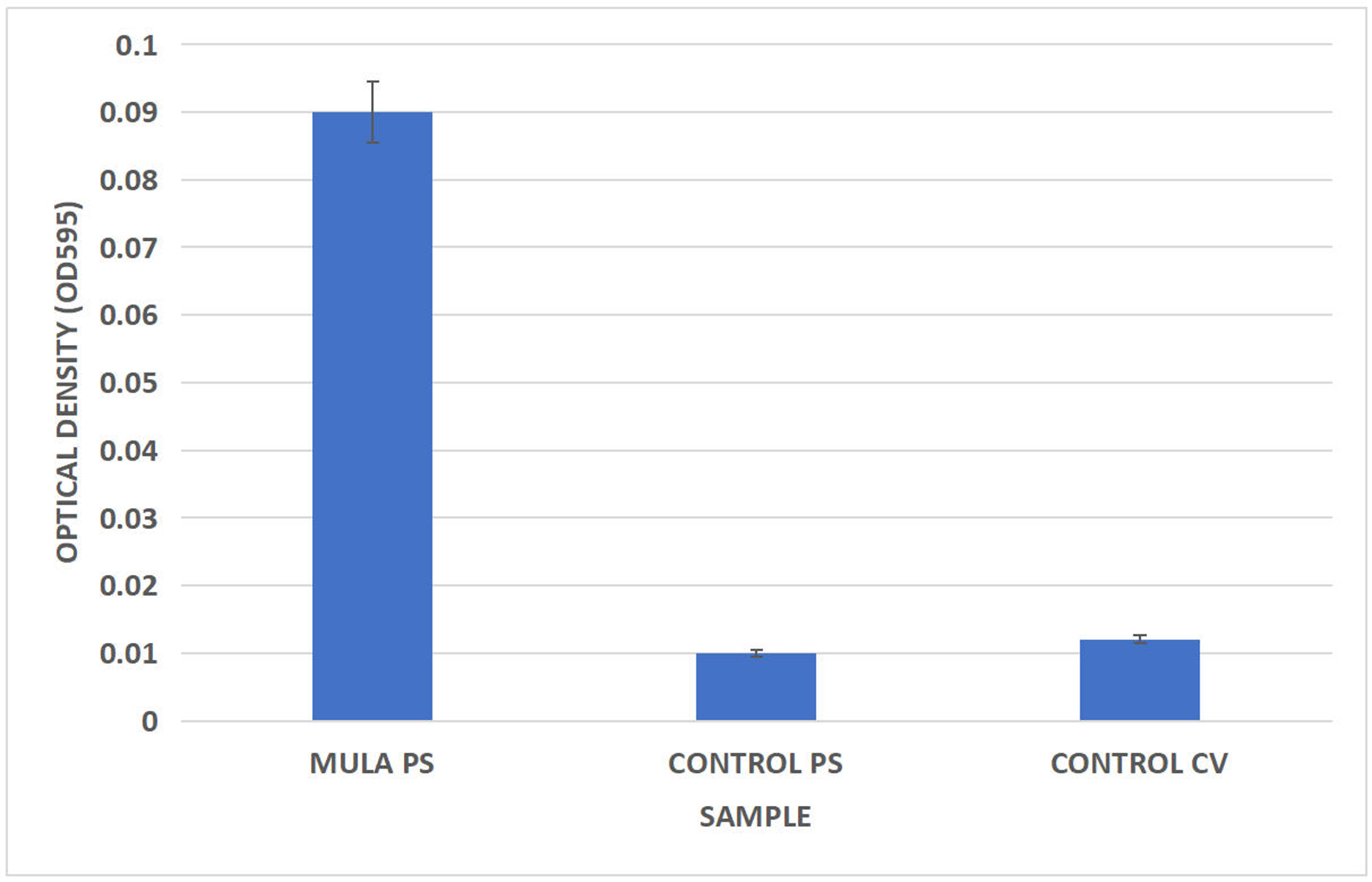 Microbial biodegradation of polystyrene microplastics: isolation, characterization and degradation efficiency of a river-isolated bacterium