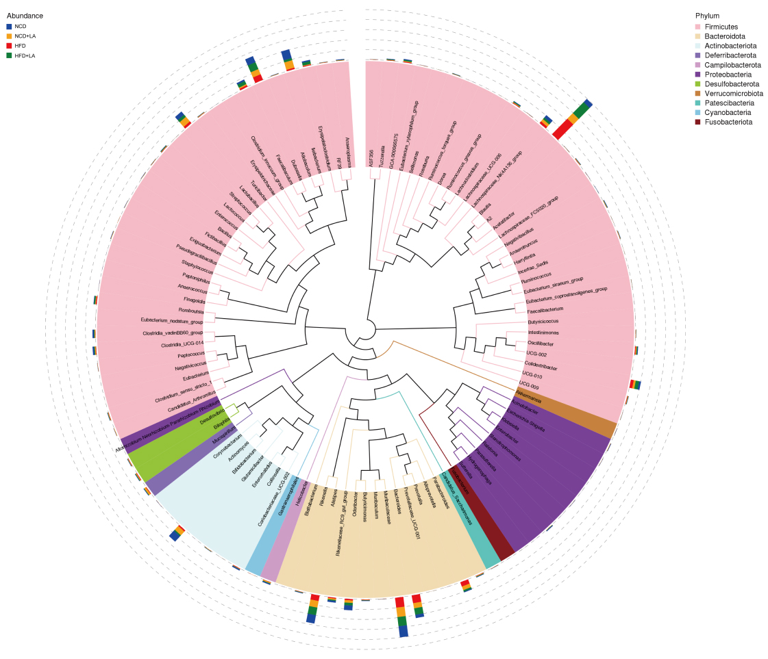 Short-term L-arabinose administration alleviates MASLD by remodeling gut microbiota and activating hepatic ATF5-dependent mitochondrial unfolded protein response