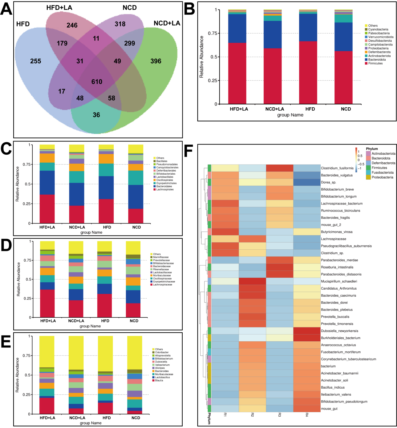 Short-term L-arabinose administration alleviates MASLD by remodeling gut microbiota and activating hepatic ATF5-dependent mitochondrial unfolded protein response