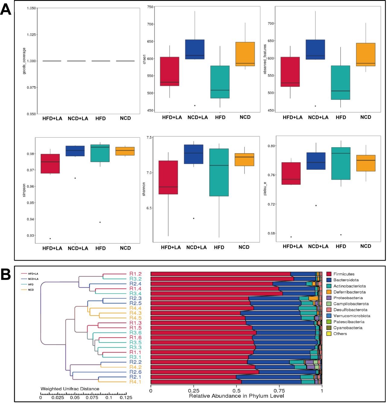 Short-term L-arabinose administration alleviates MASLD by remodeling gut microbiota and activating hepatic ATF5-dependent mitochondrial unfolded protein response