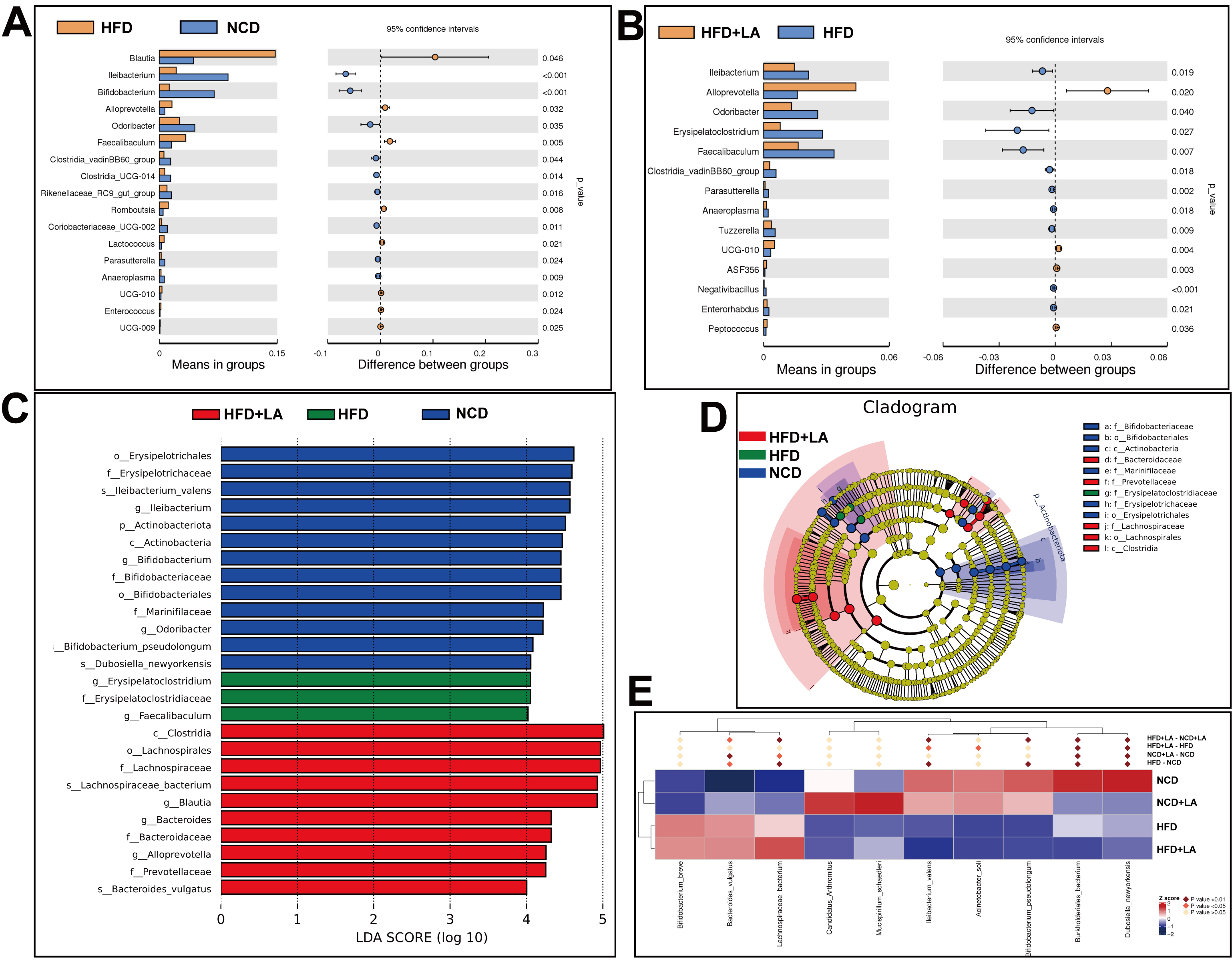 Short-term L-arabinose administration alleviates MASLD by remodeling gut microbiota and activating hepatic ATF5-dependent mitochondrial unfolded protein response