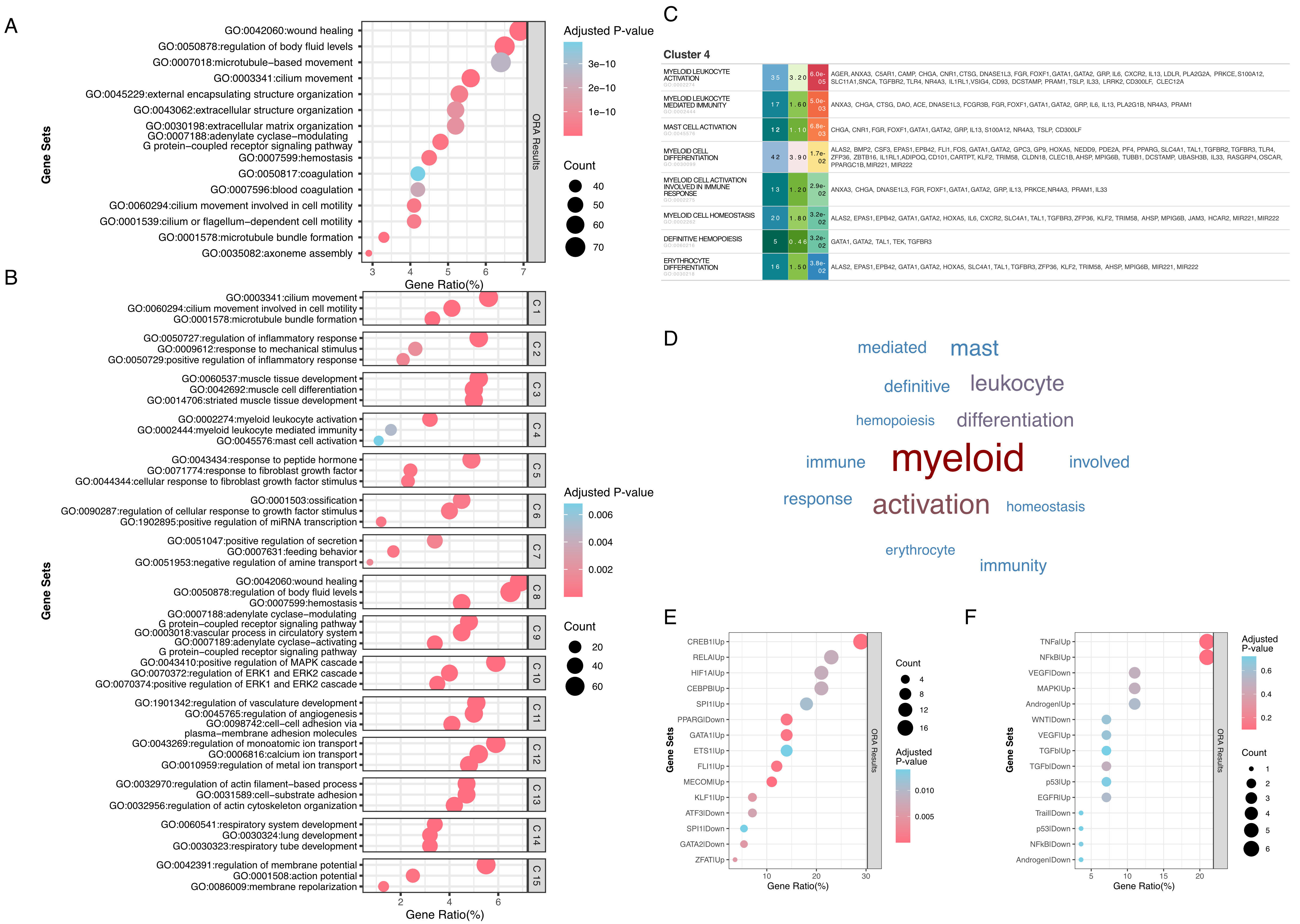 EnrichGT: a comprehensive R-based tool for functional genomics enrichment analysis based on large language models