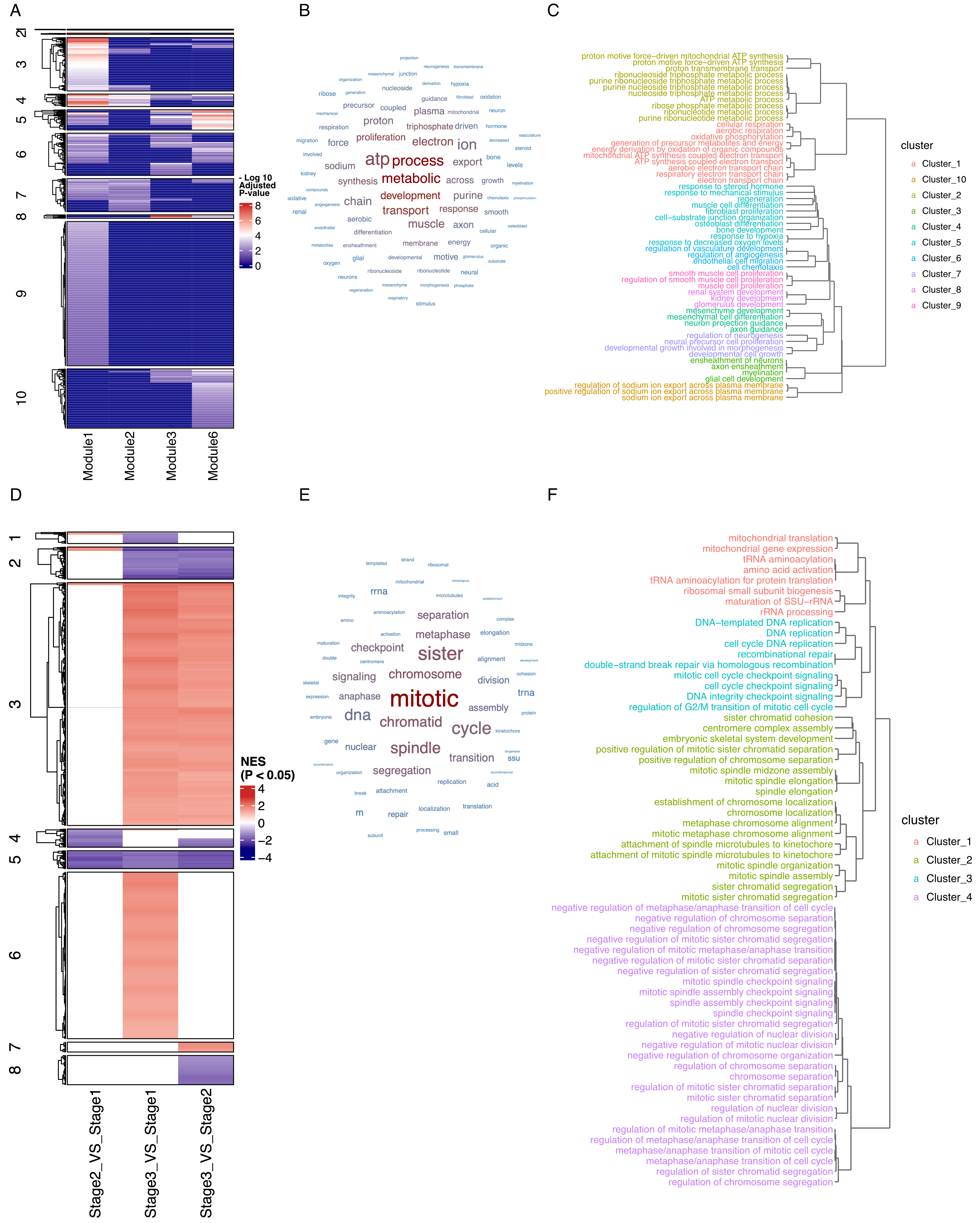 EnrichGT: a comprehensive R-based tool for functional genomics enrichment analysis based on large language models