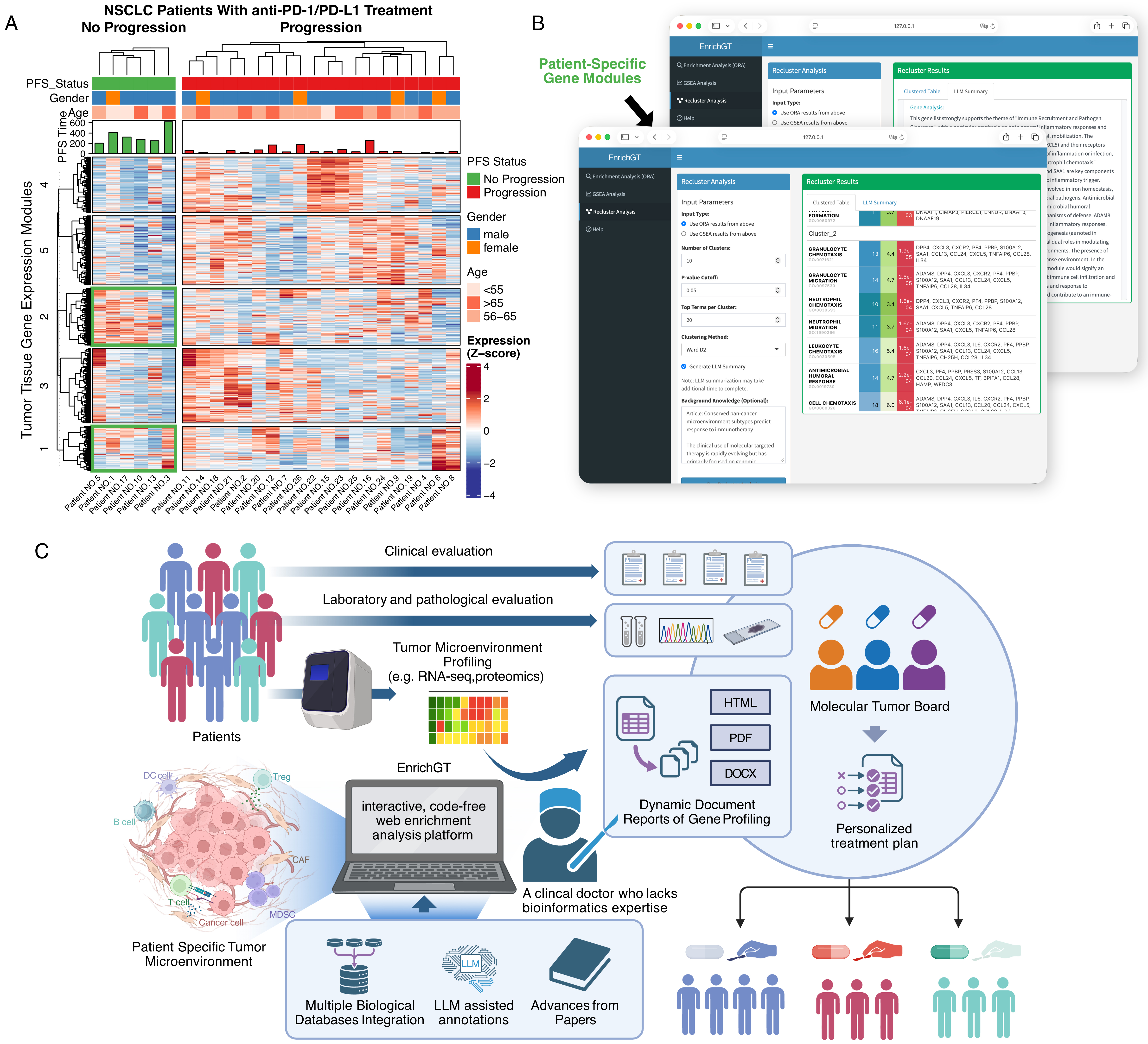 EnrichGT: a comprehensive R-based tool for functional genomics enrichment analysis based on large language models