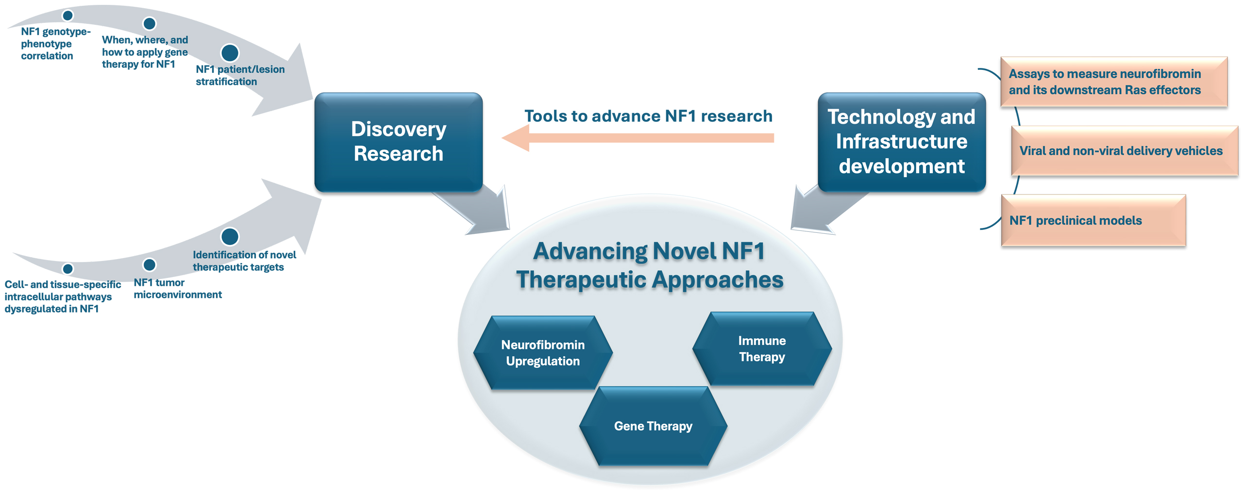 From hype to hope: foundational requirements for NF1 gene therapy success