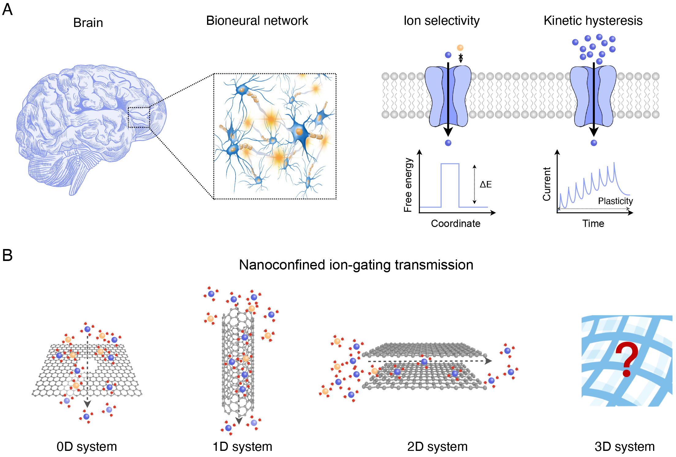 Bio-inspired heterointerfacial ion-gating and iontronic neuromorphics