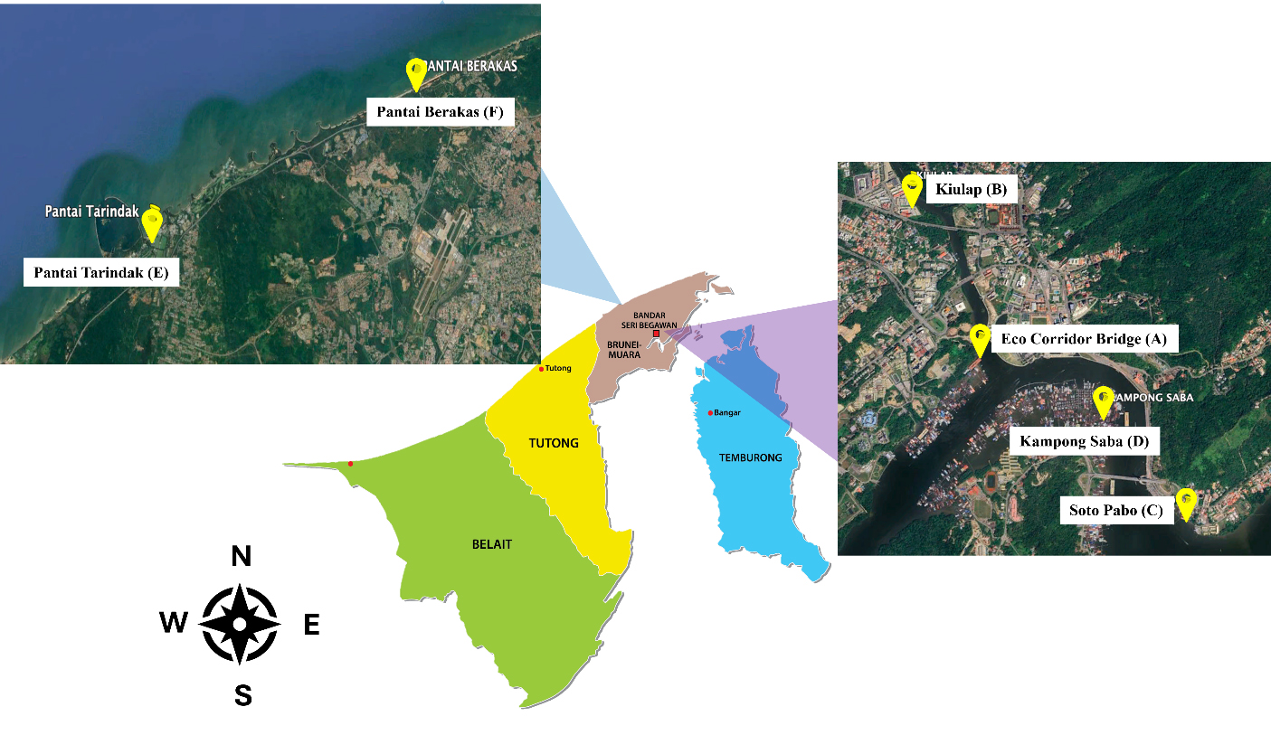 Quantification and identification of microplastic in sediment and surface water from selected areas in the Brunei ecosystem