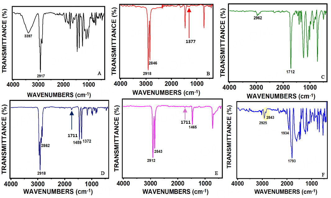 Quantification and identification of microplastic in sediment and surface water from selected areas in the Brunei ecosystem