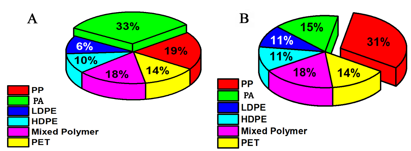 Quantification and identification of microplastic in sediment and surface water from selected areas in the Brunei ecosystem